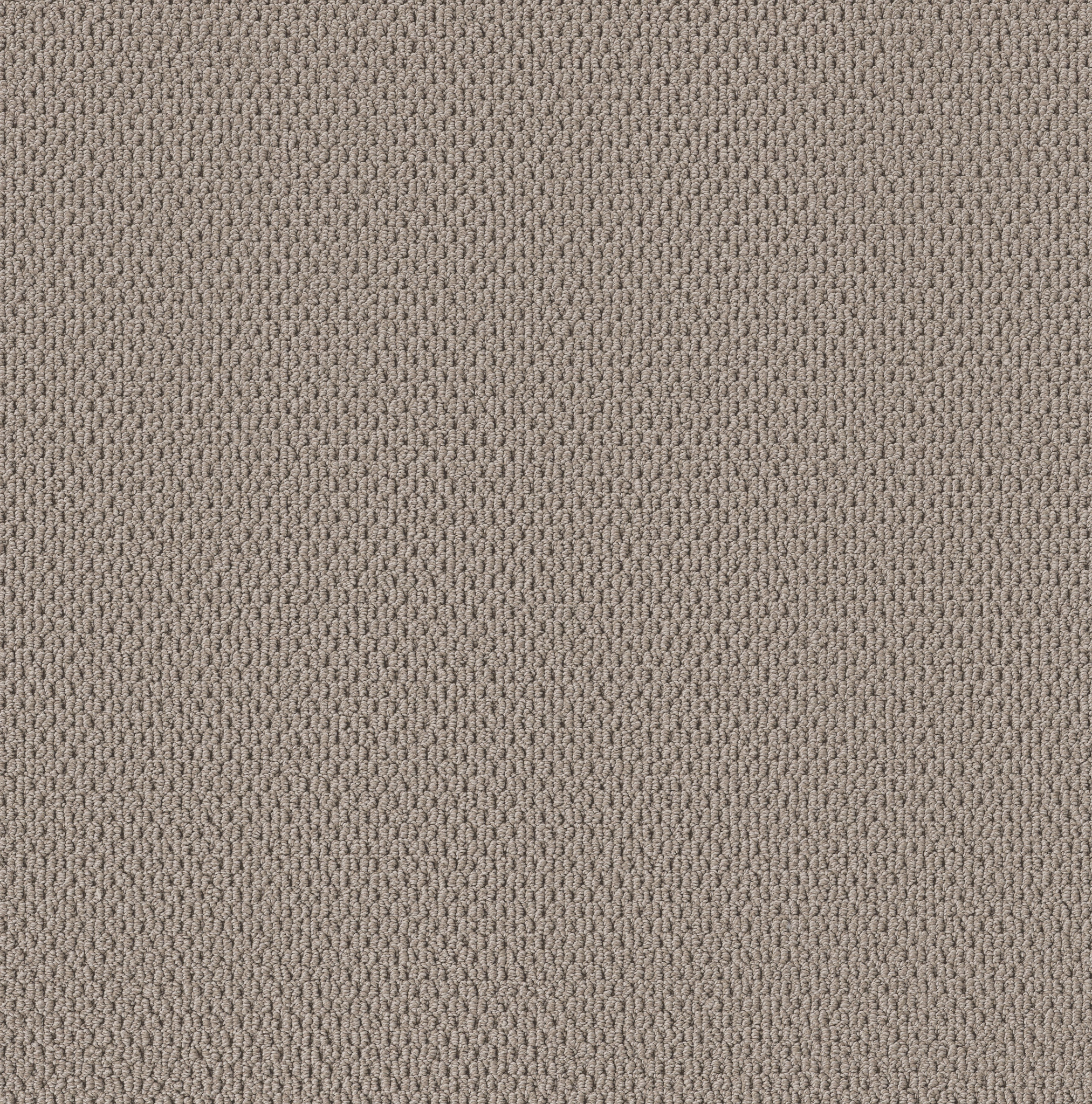 PERSPECTIVE PATH STONEHAVEN MAIN