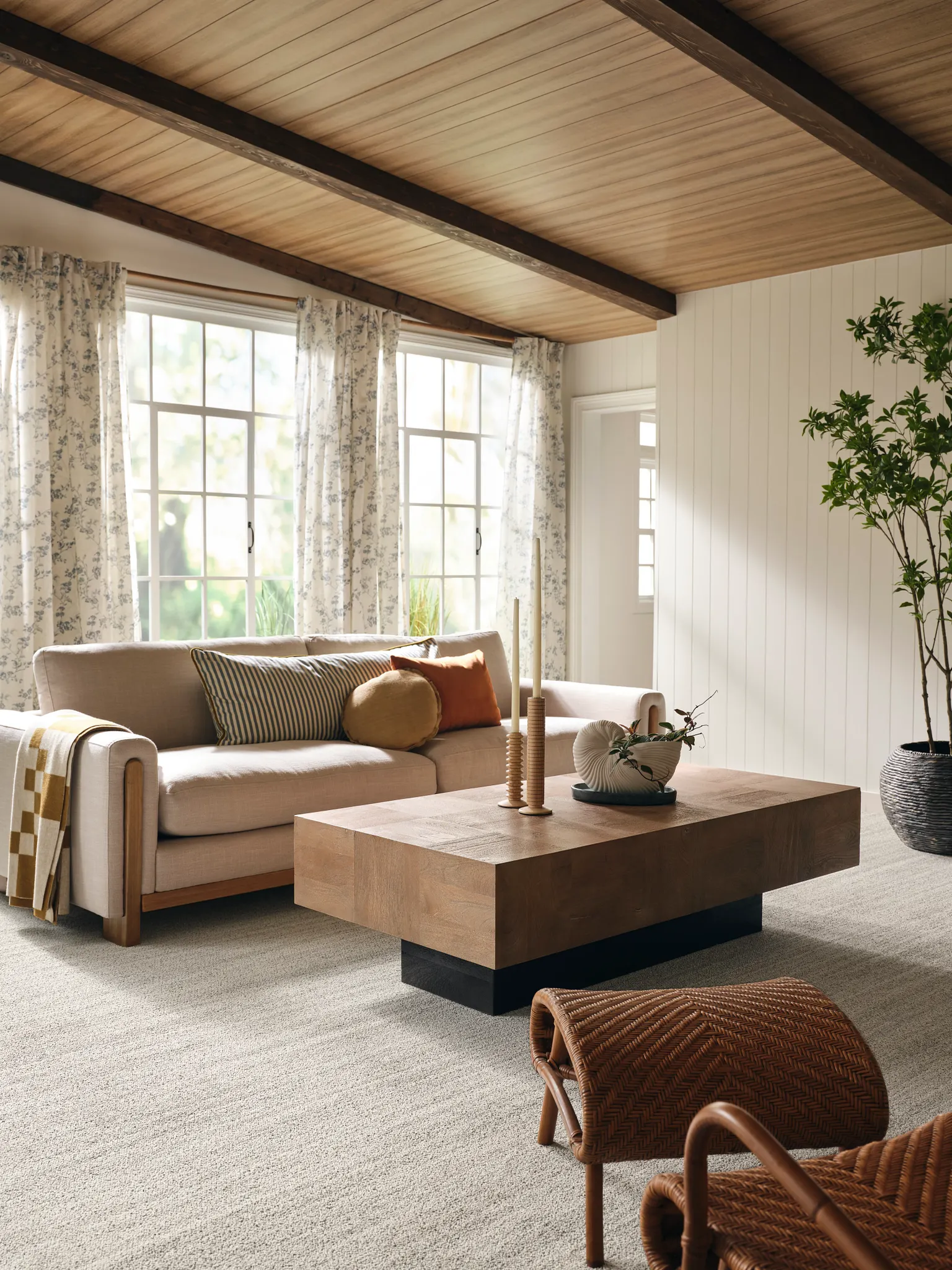 Cozy living room with beige carpet and wooden furniture