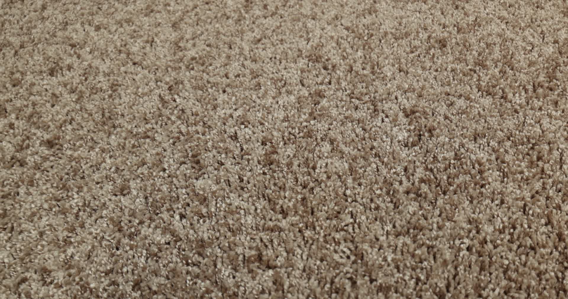 COLOR FLAIR TOAST 360PROD