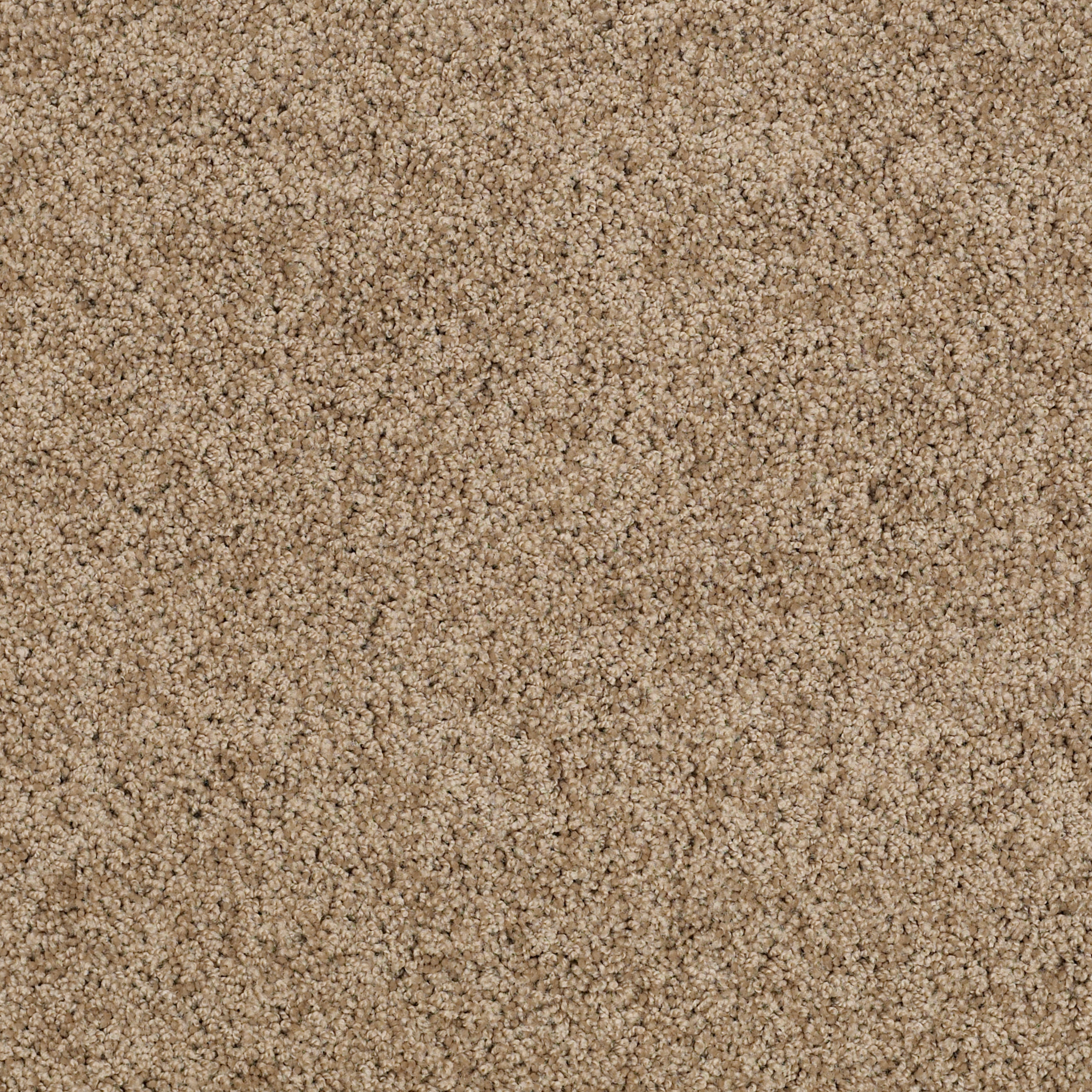 AG TIMELESS TOP SOIL MAIN