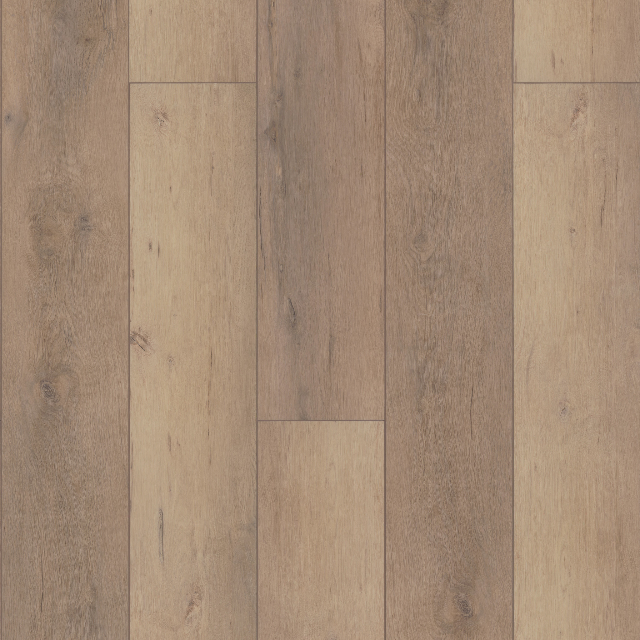 West Coast Exclusive MADRID OAK MAIN