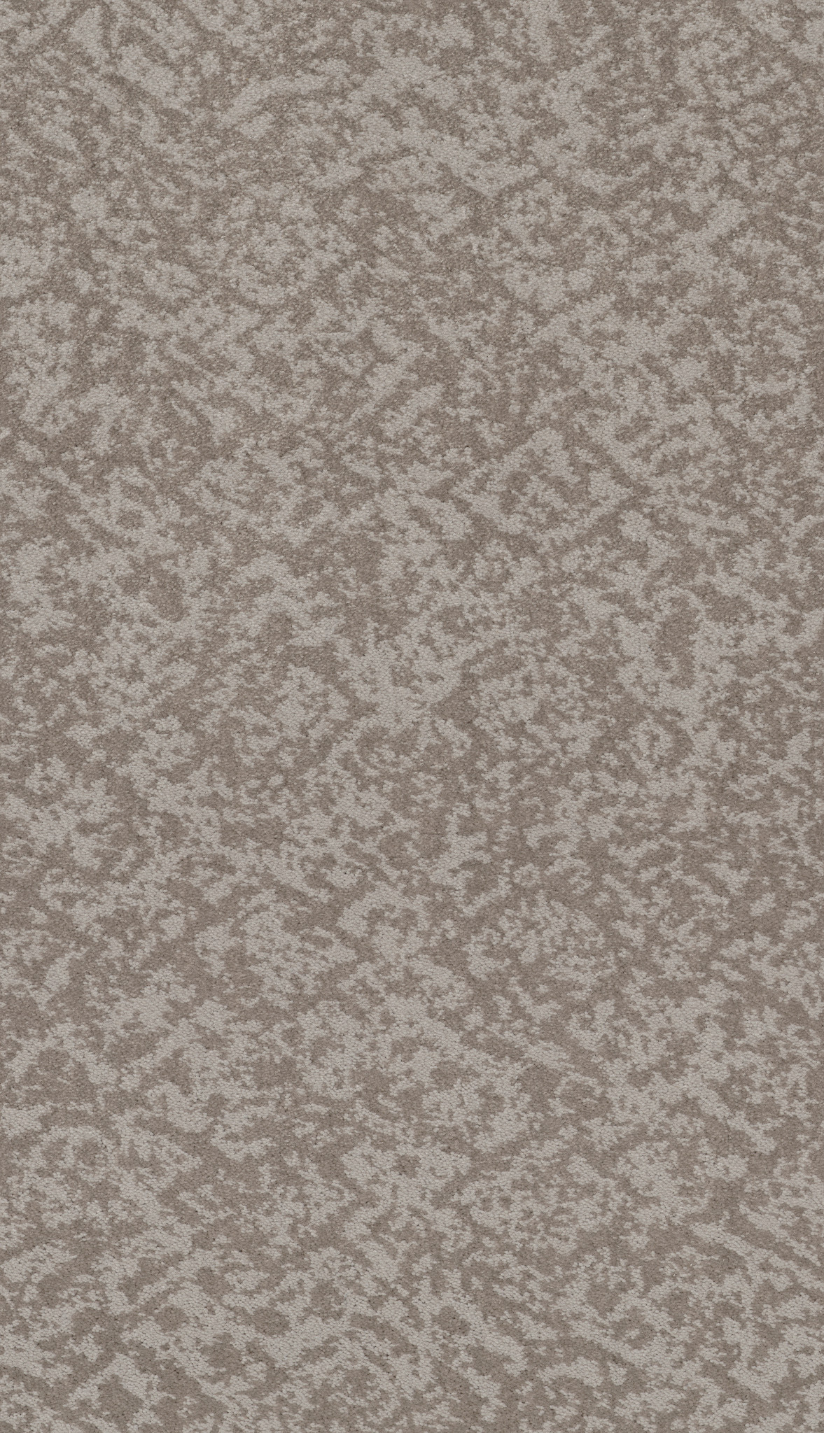 FREE SPIRIT COLD WINTER MAIN