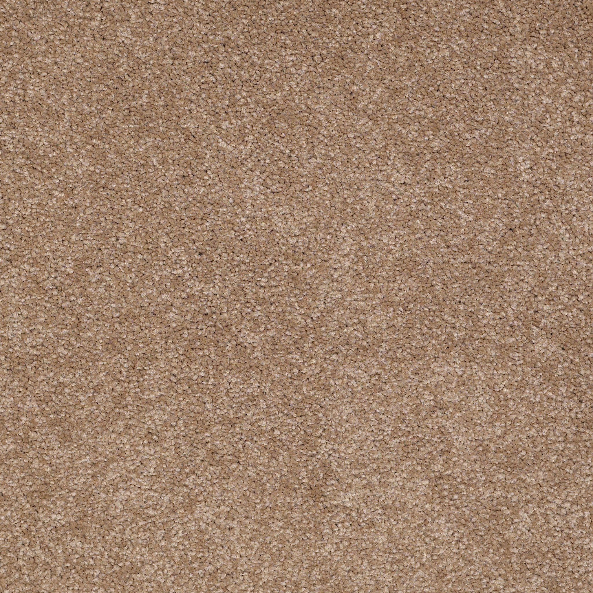 SOPHISTICATION 15' MOJAVE MAIN