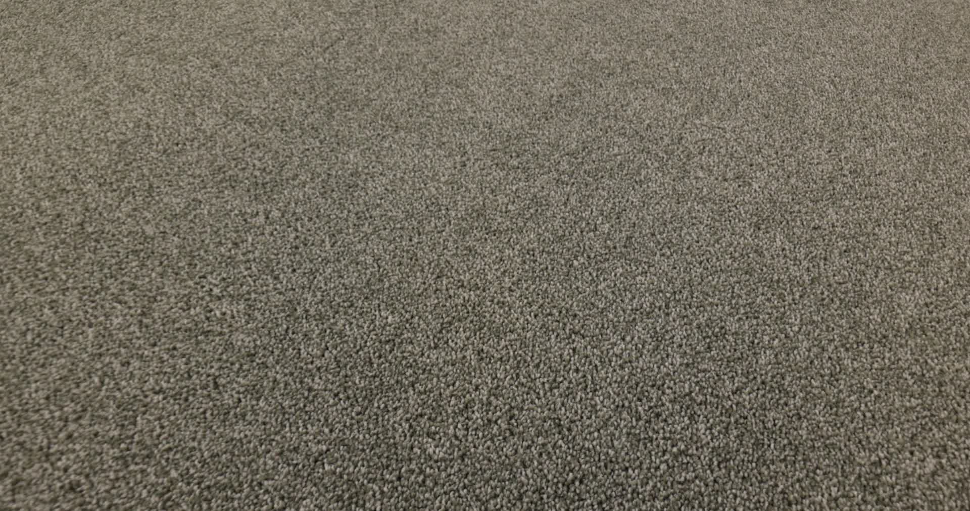 CLASSIC TONE OLIVE TREE 360PROD