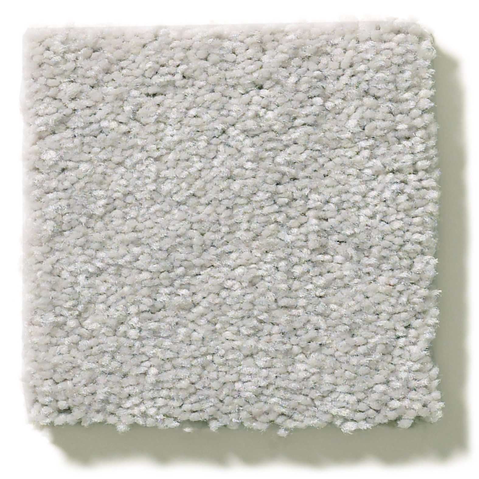 ATTAINABLE PLATINUM SWATCH