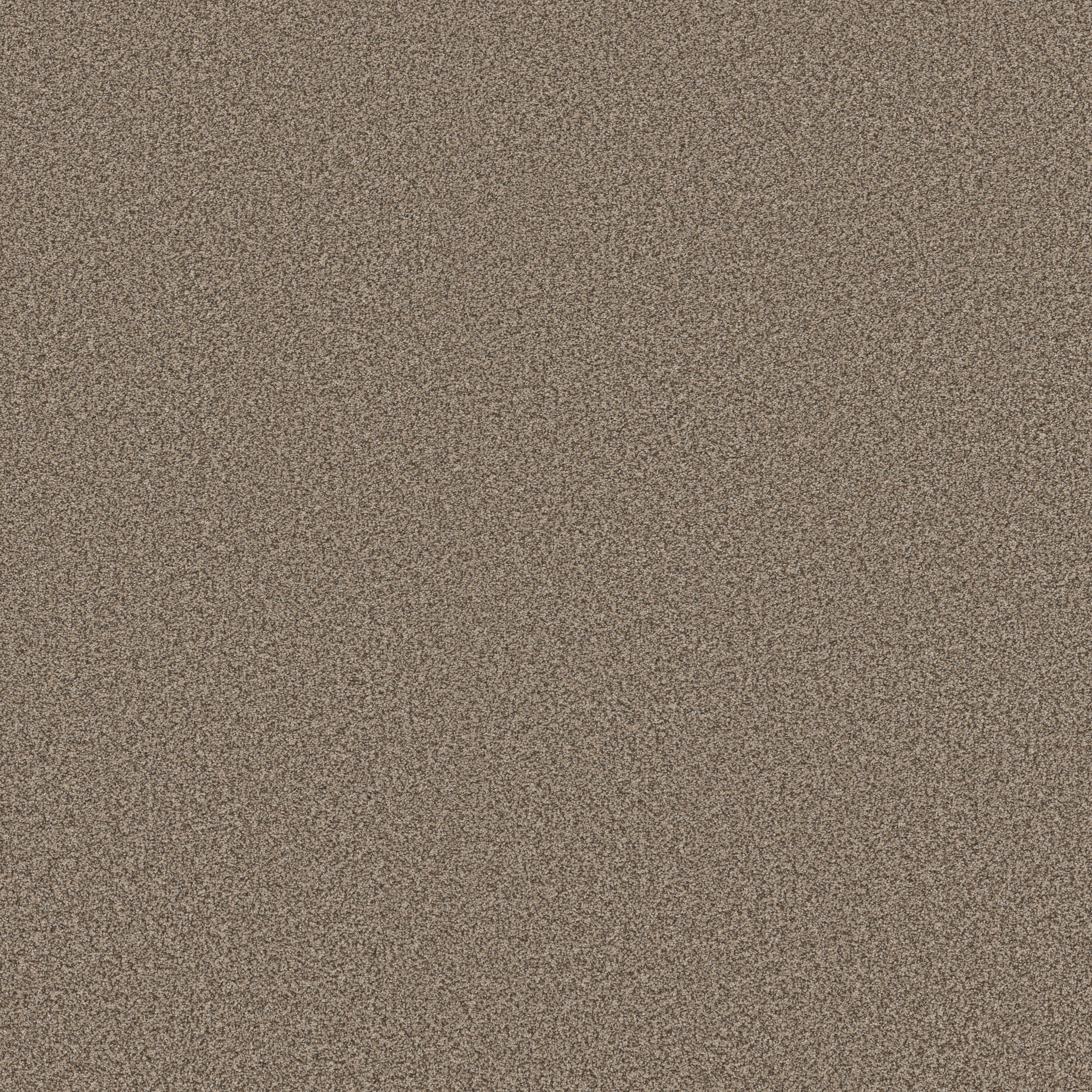 SOMERSET CHIC TAUPE MAIN