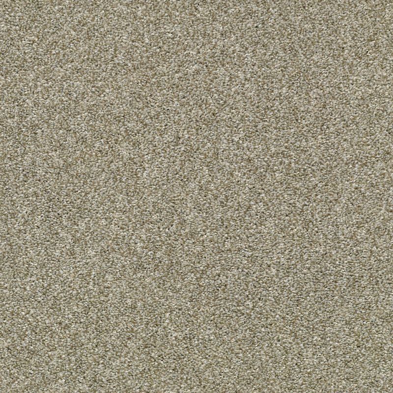 Cabana Life T E9958 Broadloom Carpet in Pebble Creek color, made of 100% PET fiber, 12 ft wide, textured finish