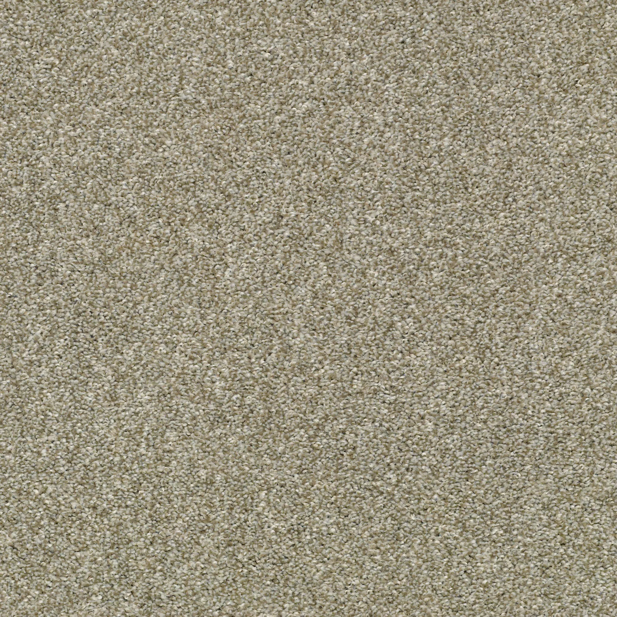 experience-the-timeless-elegance-of-pebble-creek-elevate-your-space-with-luxurious-broadloom-carpet