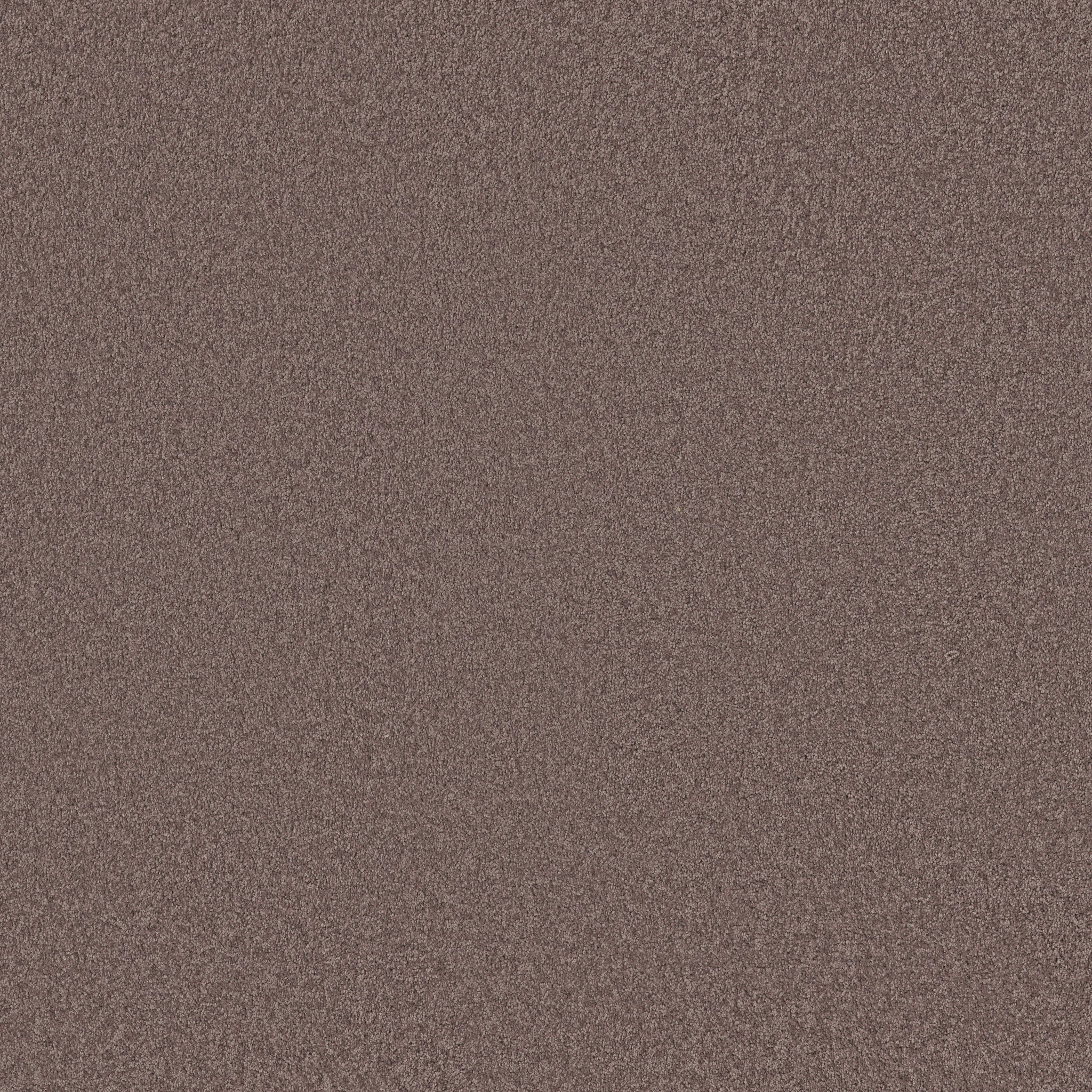 GRAND IMAGE III GRAPE FIZZ MAIN