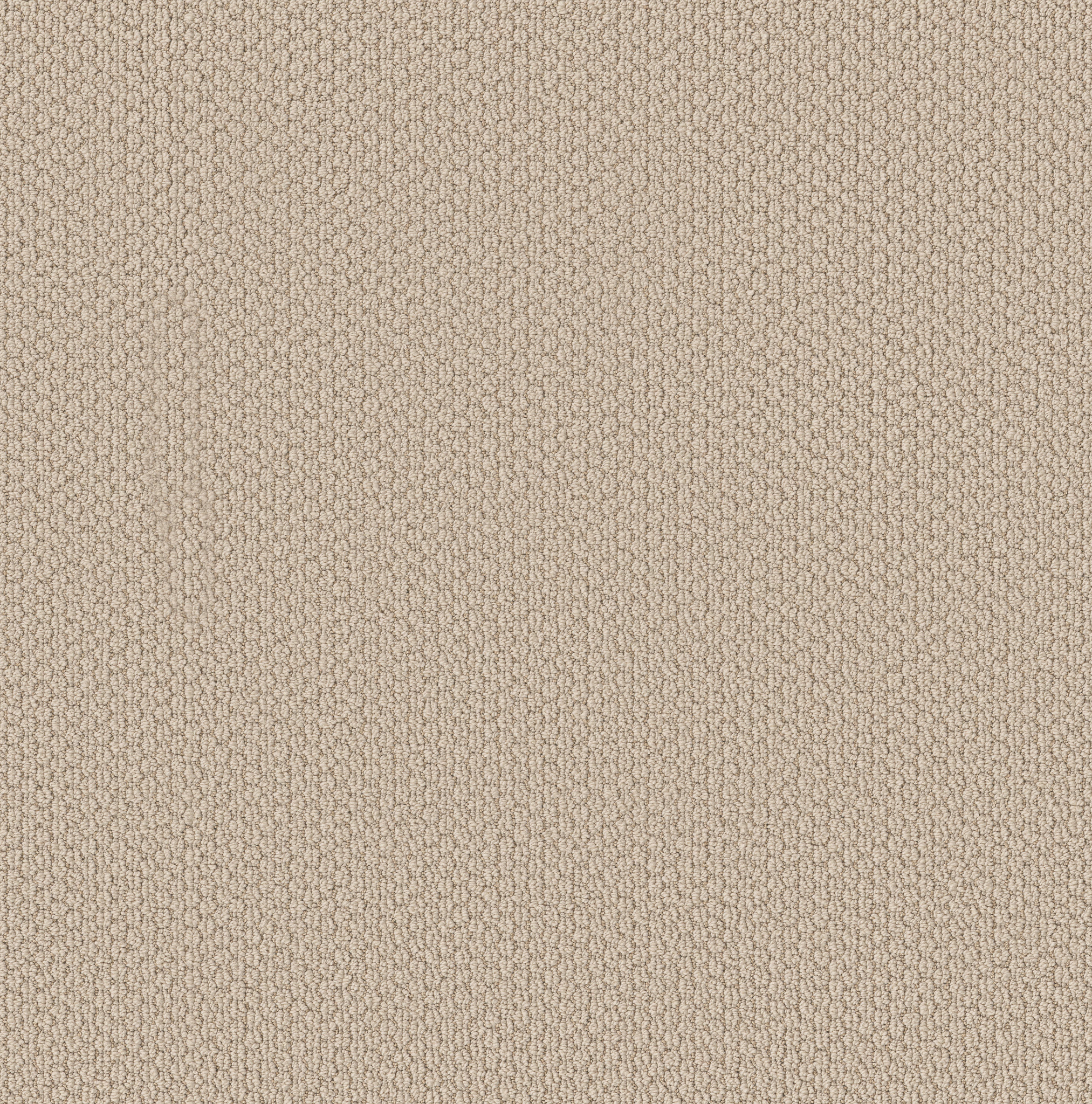 AG In The Loop OYSTER SHELL MAIN