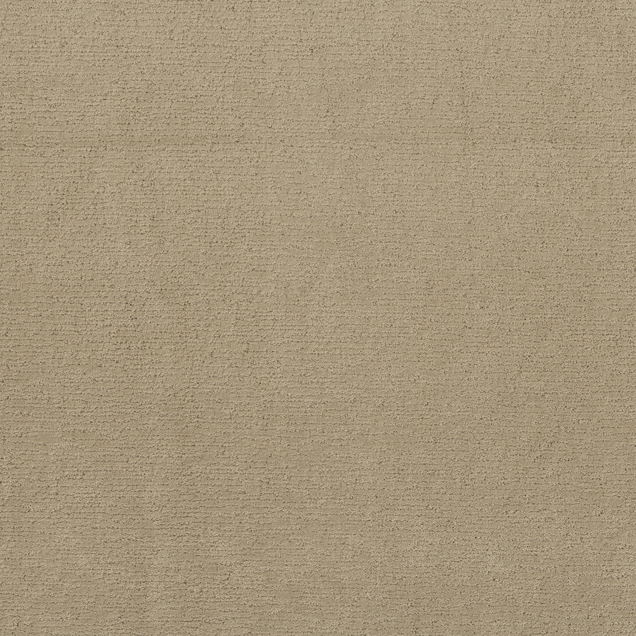 SKETCH CORONADO MAIN