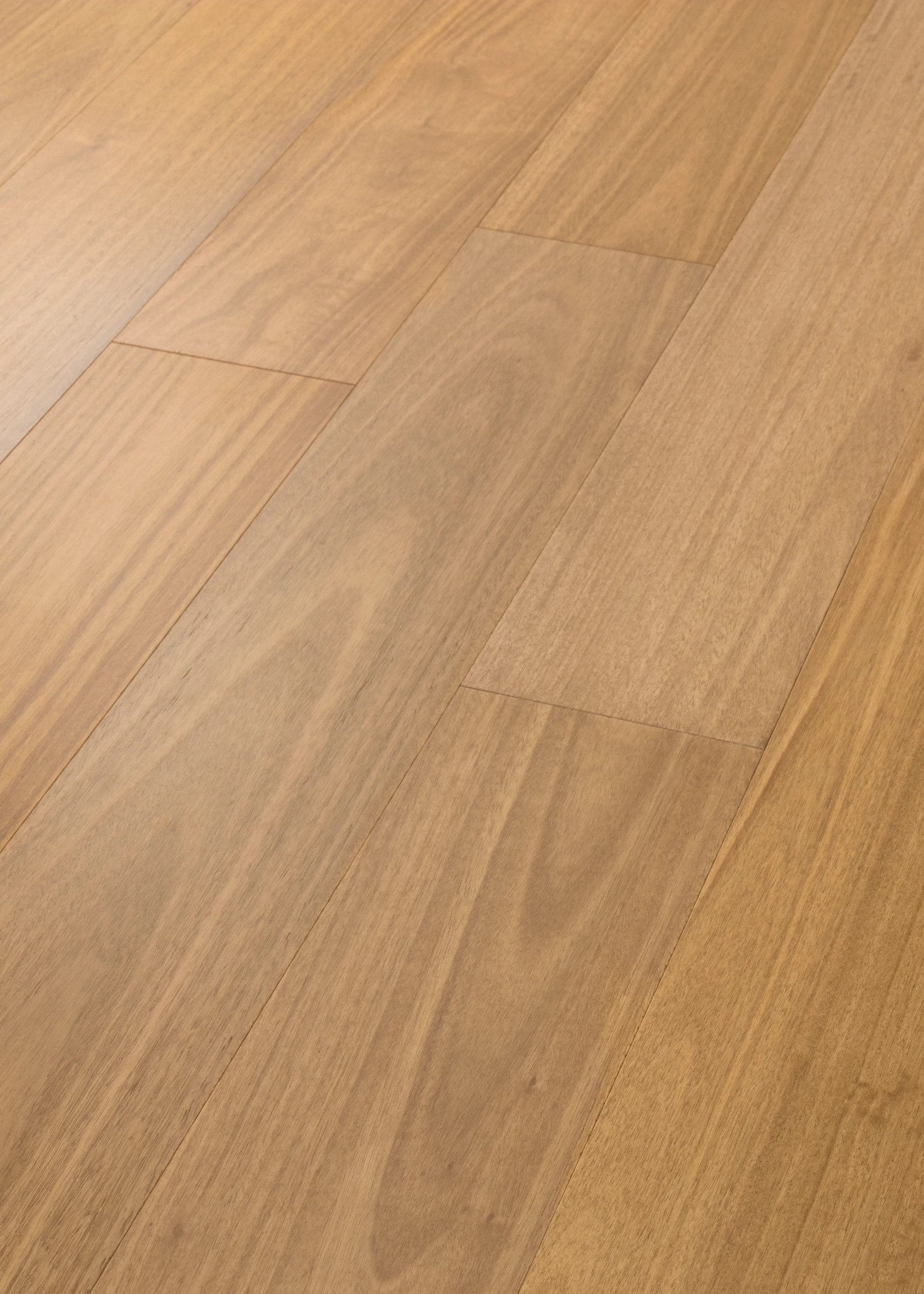 BRIDGEWATER EUCALYPTUS GOLDEN CANOPY ANGLED