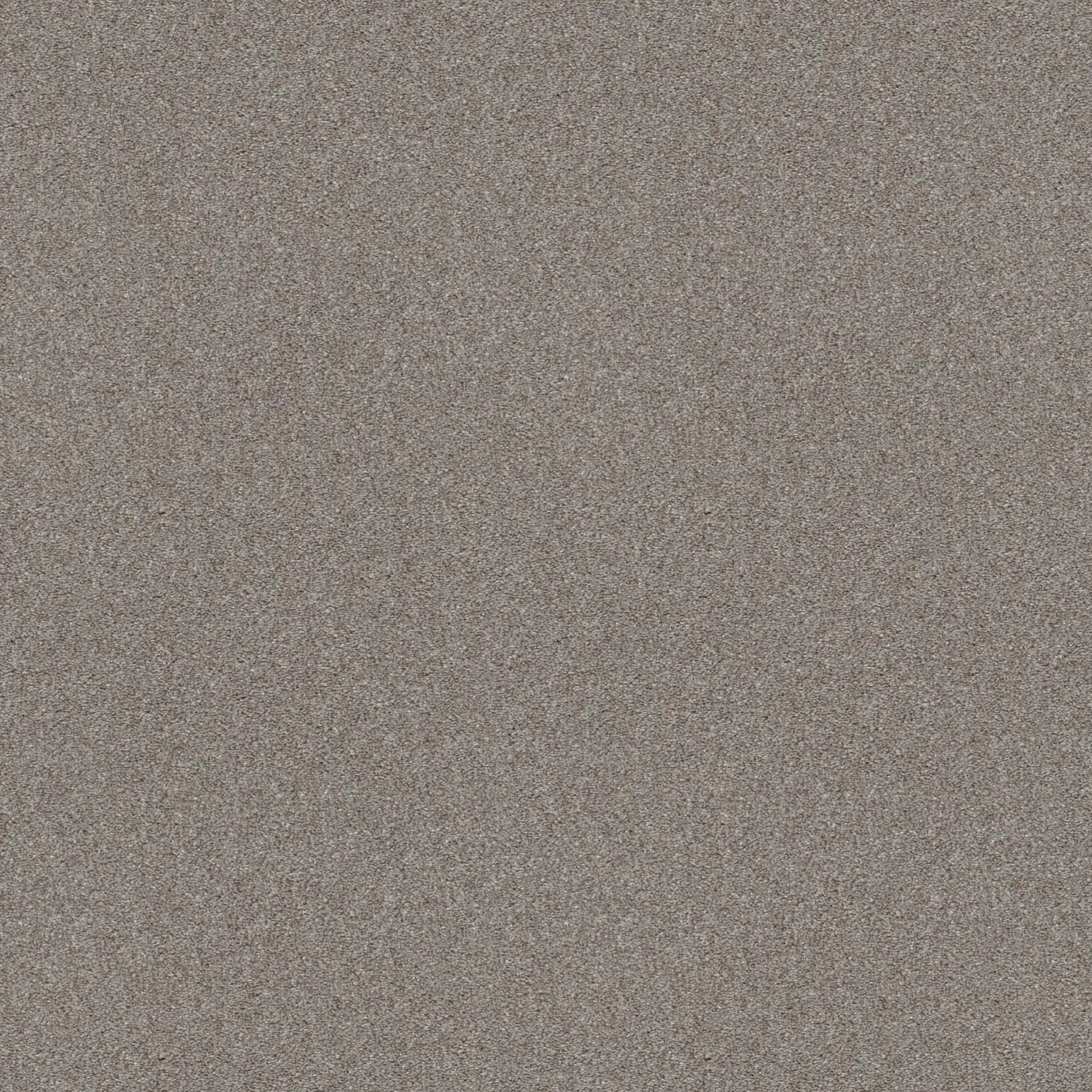 experience-the-luxurious-comfort-of-soft-fleece-carpet-elevate-your-space-with-tonal-elegance