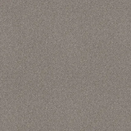 Experience the Luxurious Comfort of Soft Fleece Carpet: Elevate Your Space with Tonal Elegance! experience-the-luxurious-comfort-of-soft-fleece-carpet-elevate-your-space-with-tonal-elegance