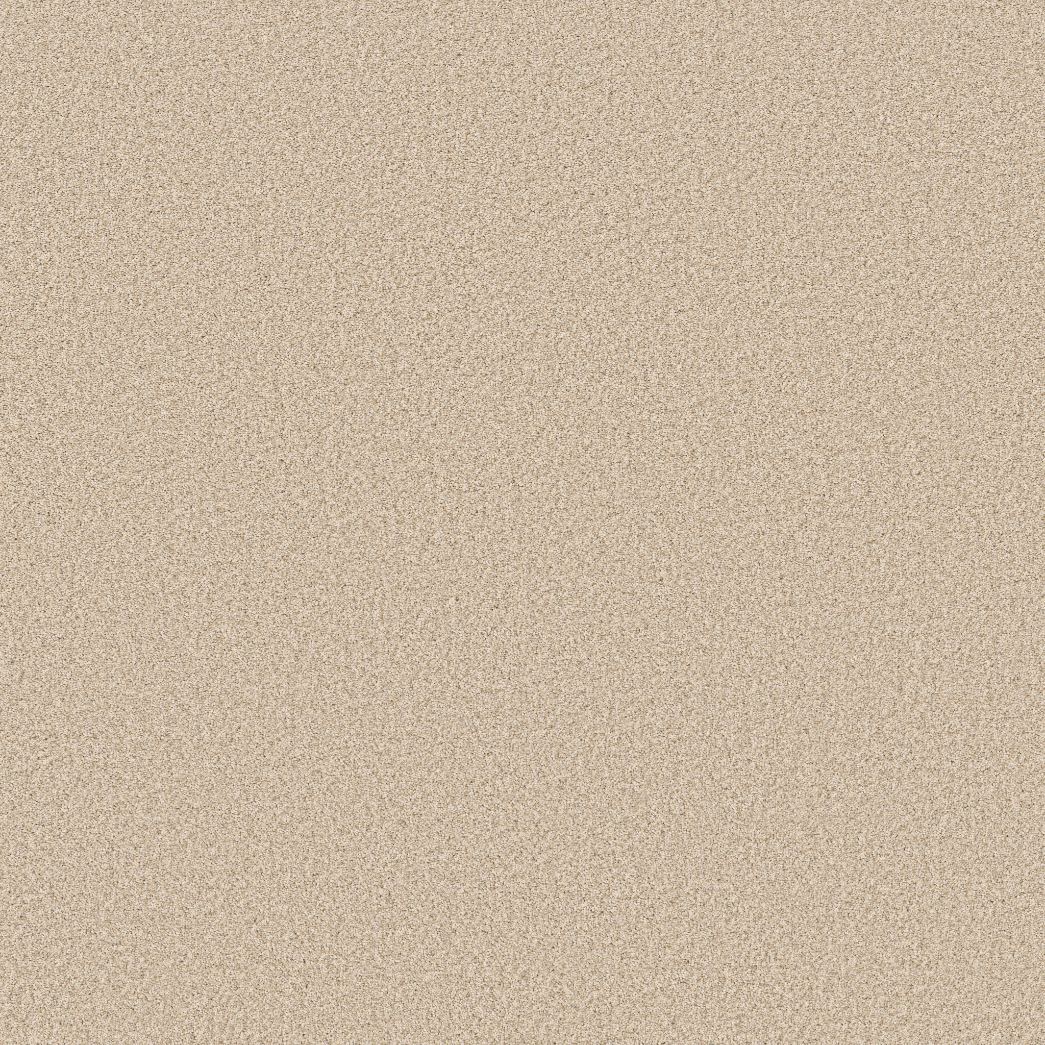 SOMERSET RISOTTO MAIN