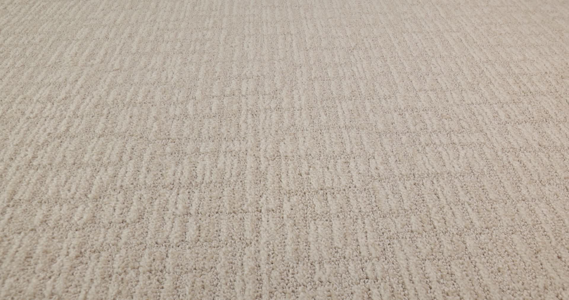 WANDERER COTTON TAIL 360PROD