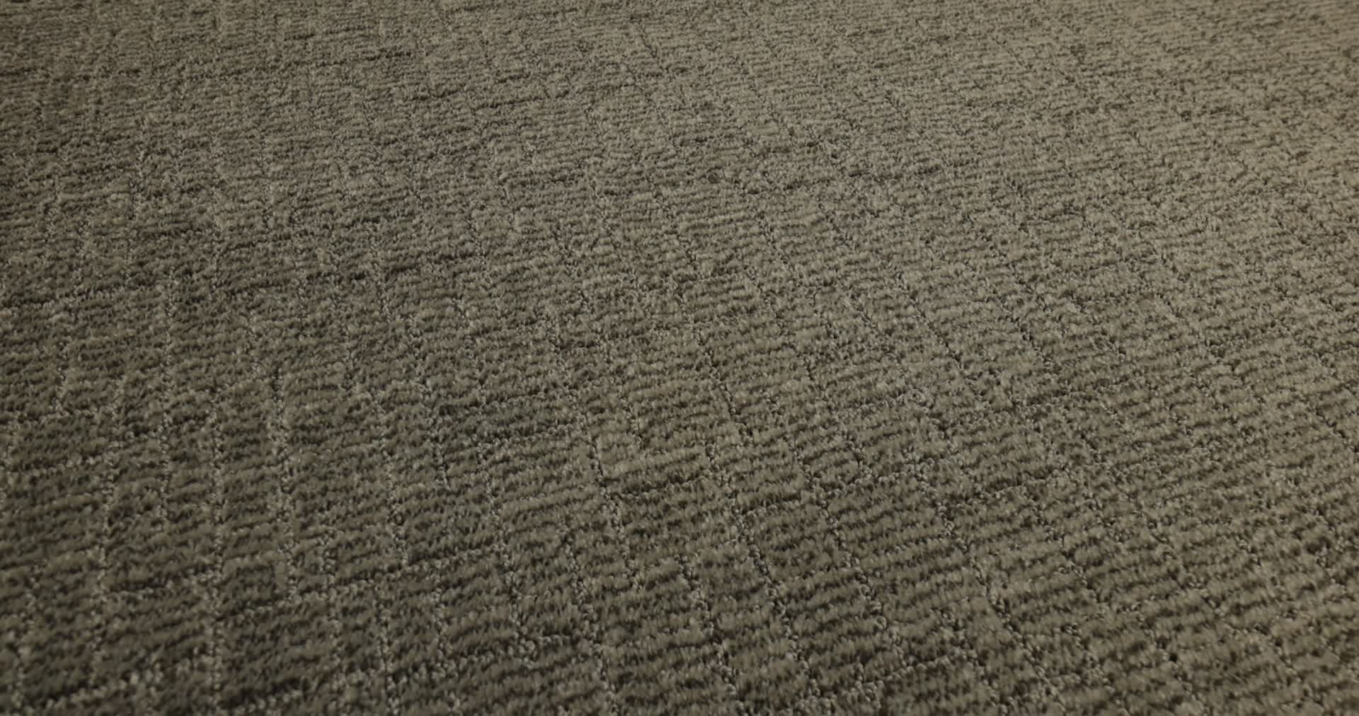 WAYFARER MUSTANG 360PROD