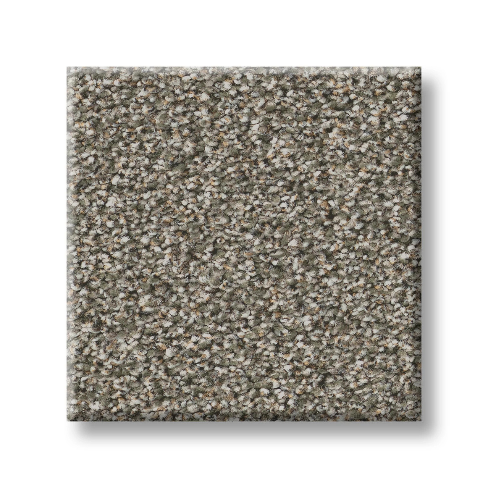 TIMELESS TONE BLUE OLIVE TREE SWATCH