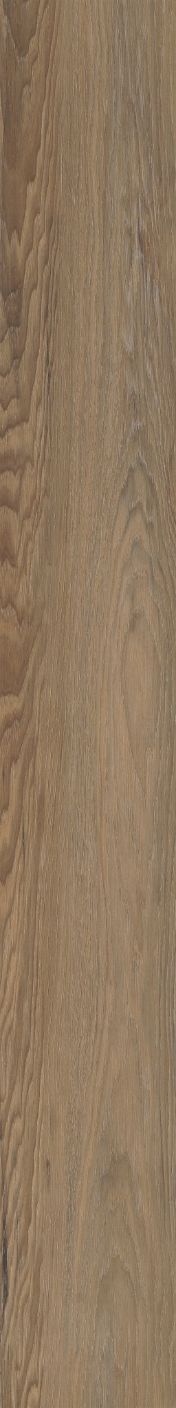 NILAND CHESTNUT 1TO1