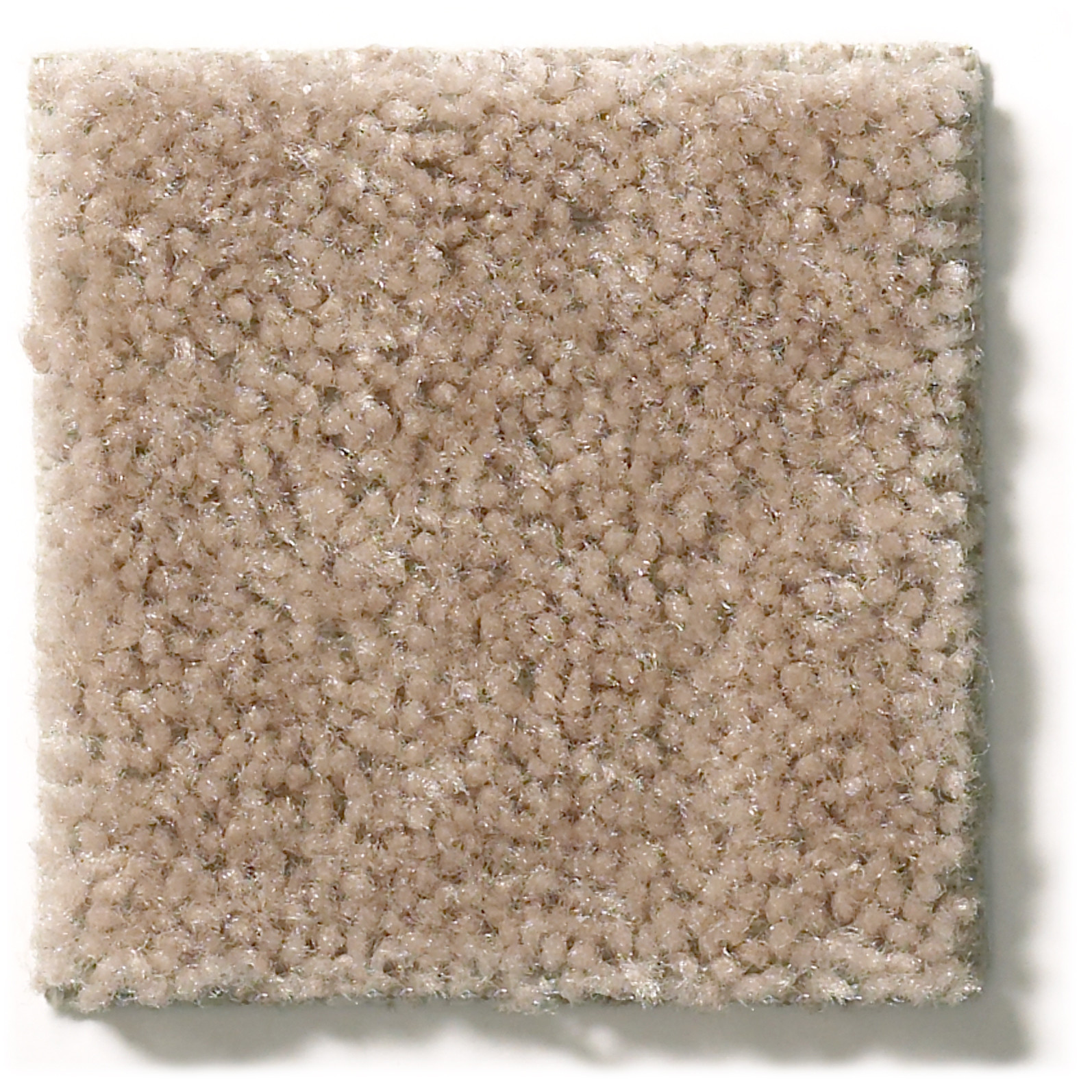 CASCADE II WILLOW SWATCH