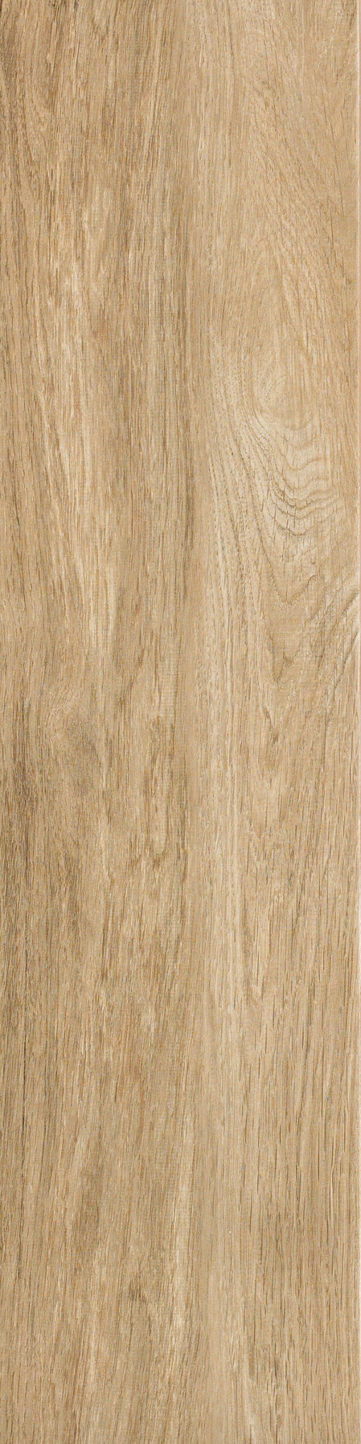 VALENTINO 8X32 LIGHTS MAIN