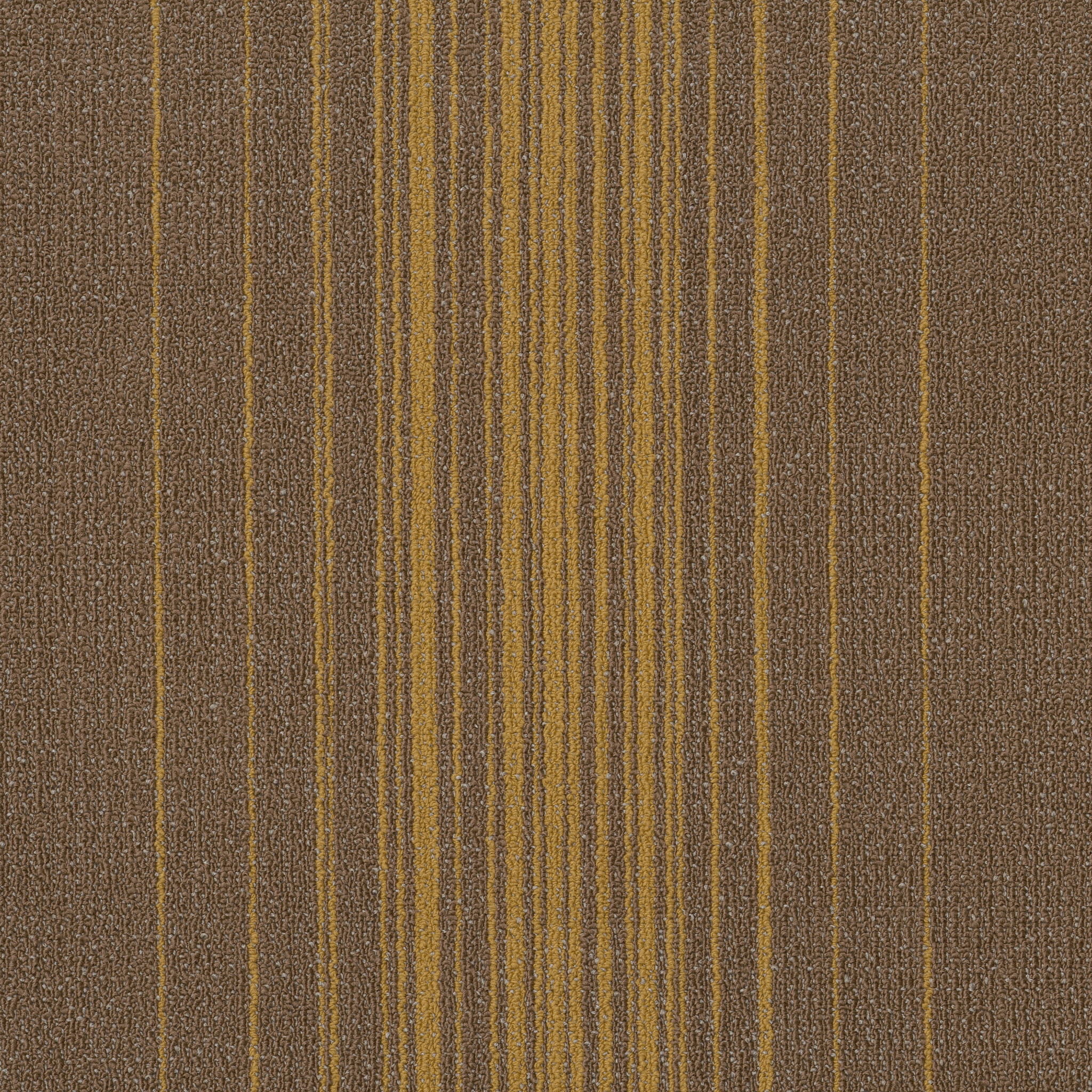 REALIGN-54971-EVOLVE-00200-main-image