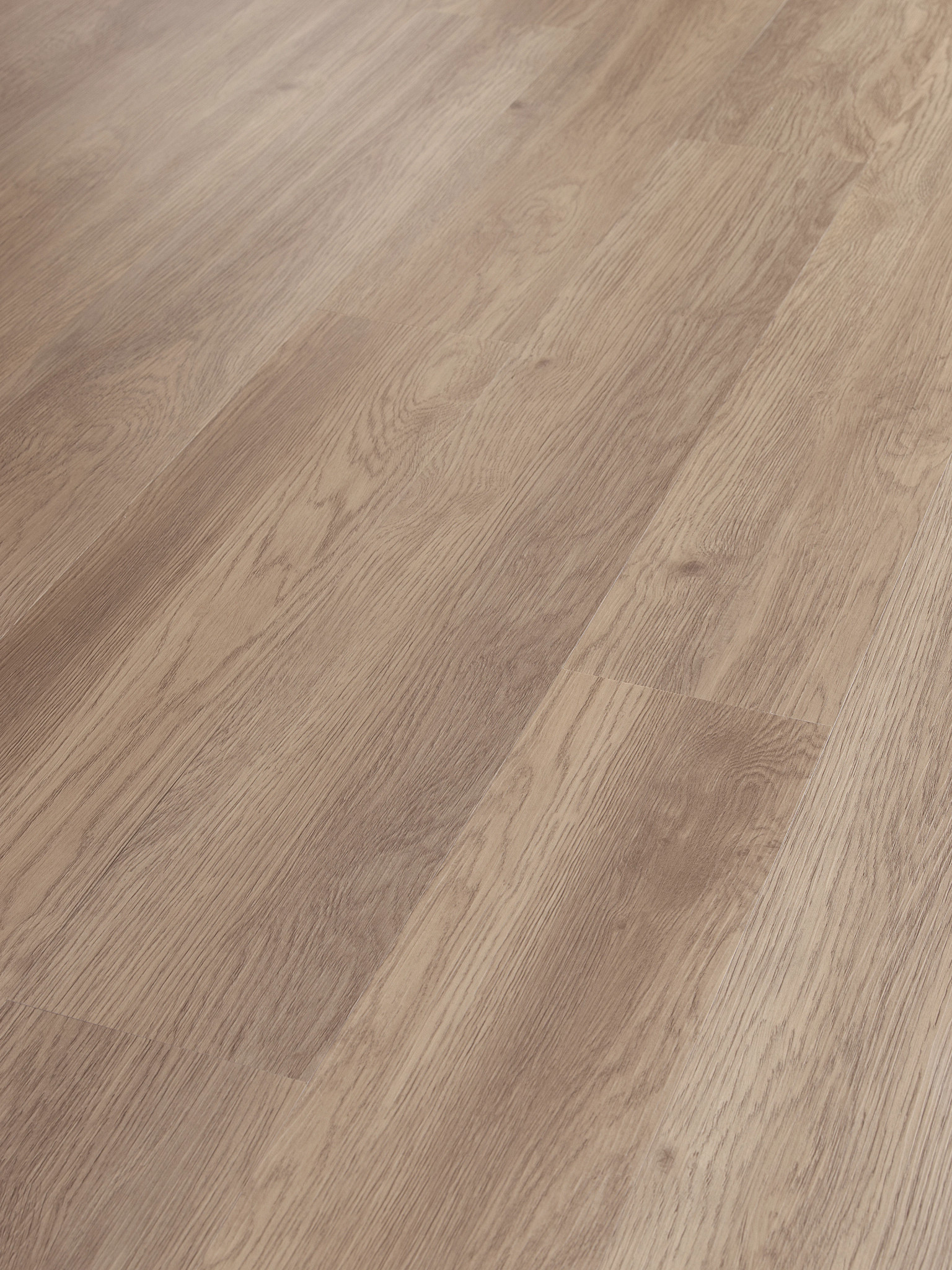 Infinite 12 - in Barley Field | Shaw Floors