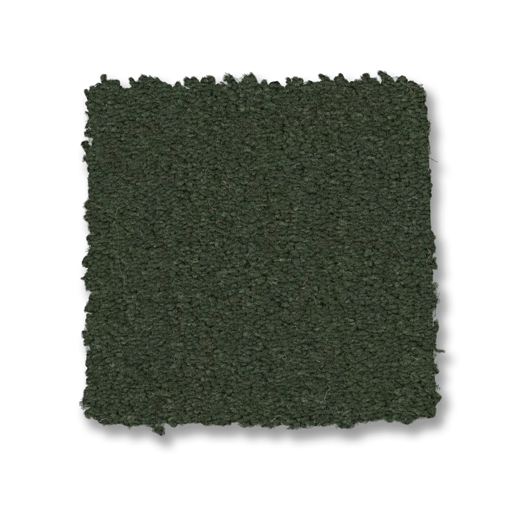 FINERY PALM LEAF SWATCH