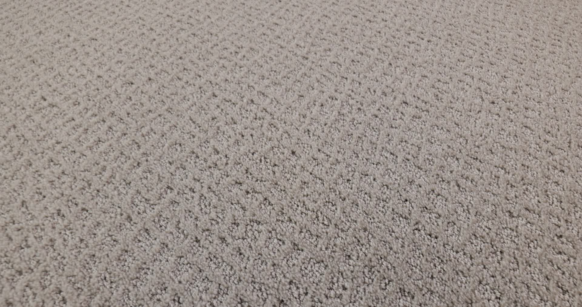 CHIC SHADES SPLIT SEDIMENT 360PROD