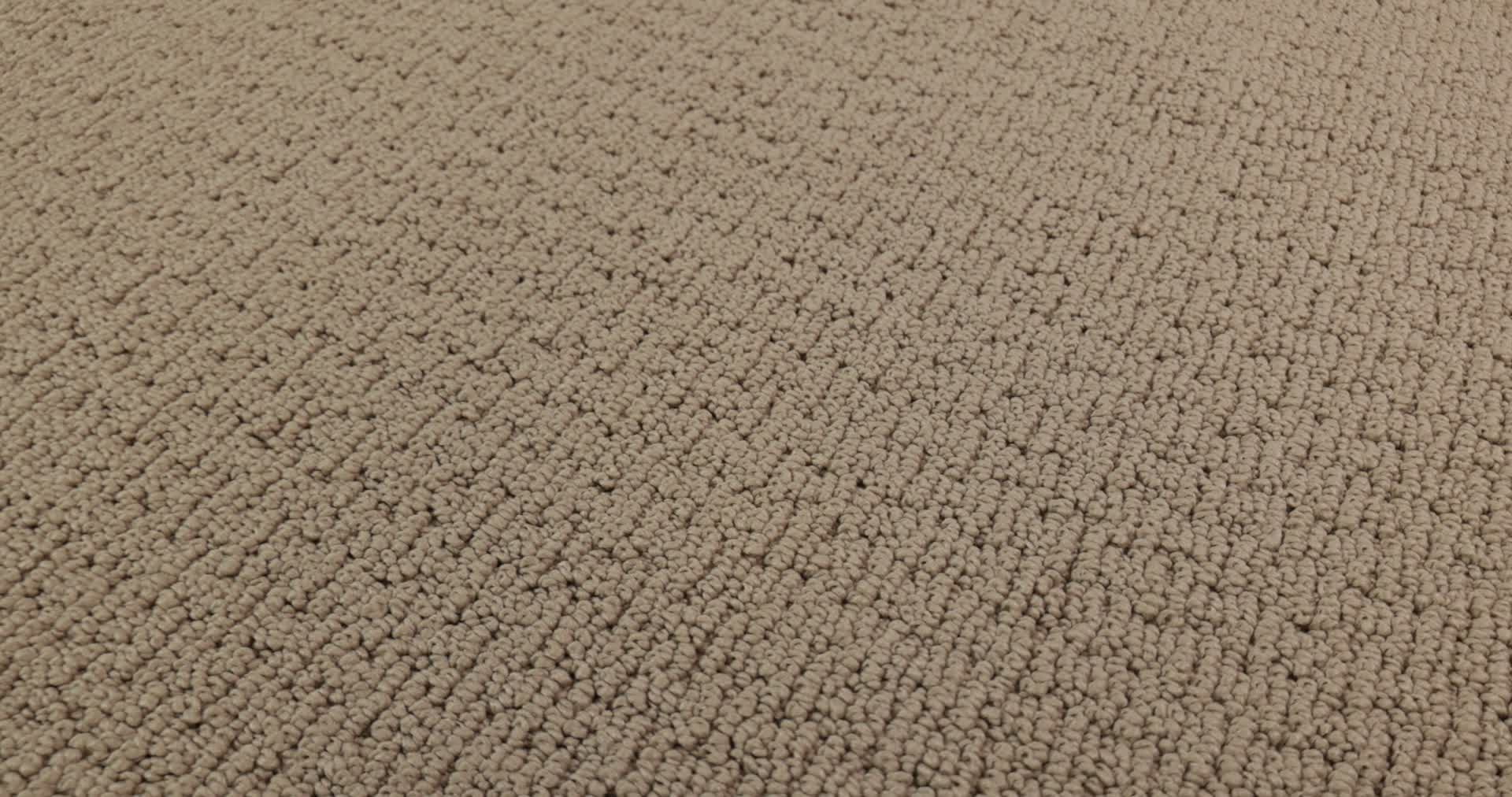 SPACE LINE BAKED BEIGE 360PROD