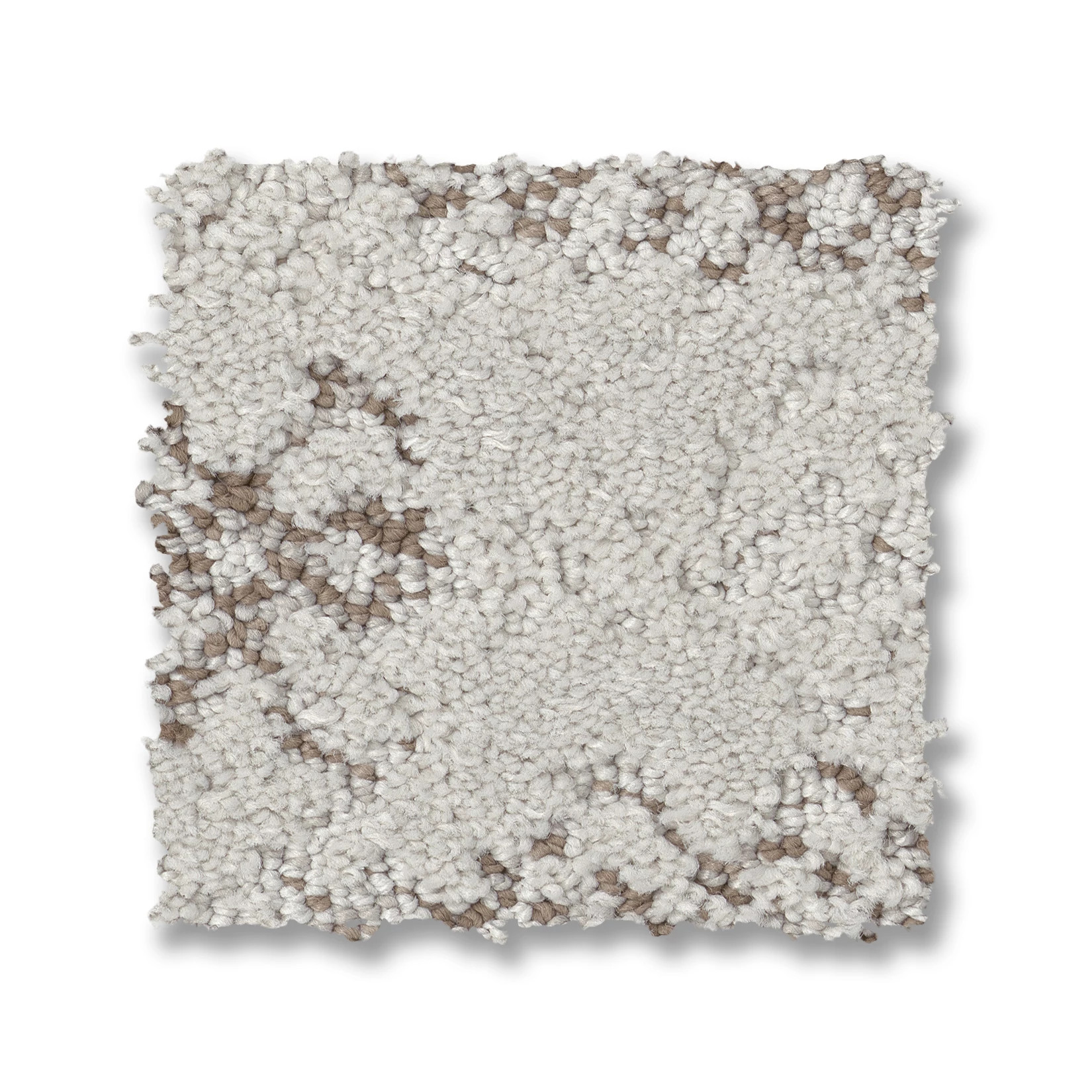 EVOKE GREY FOX SWATCH