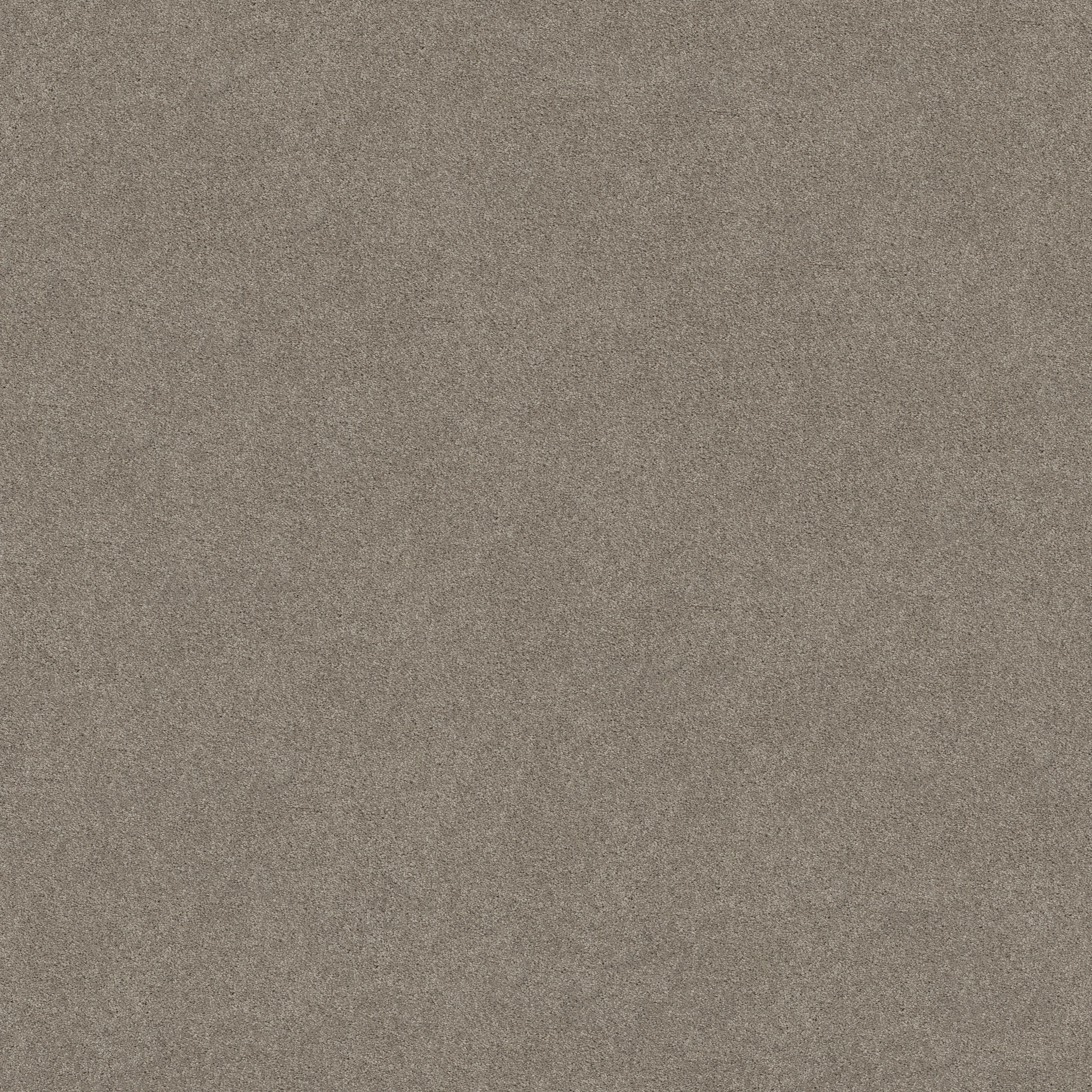 KEEN SENSES II LADY IN GRAY MAIN