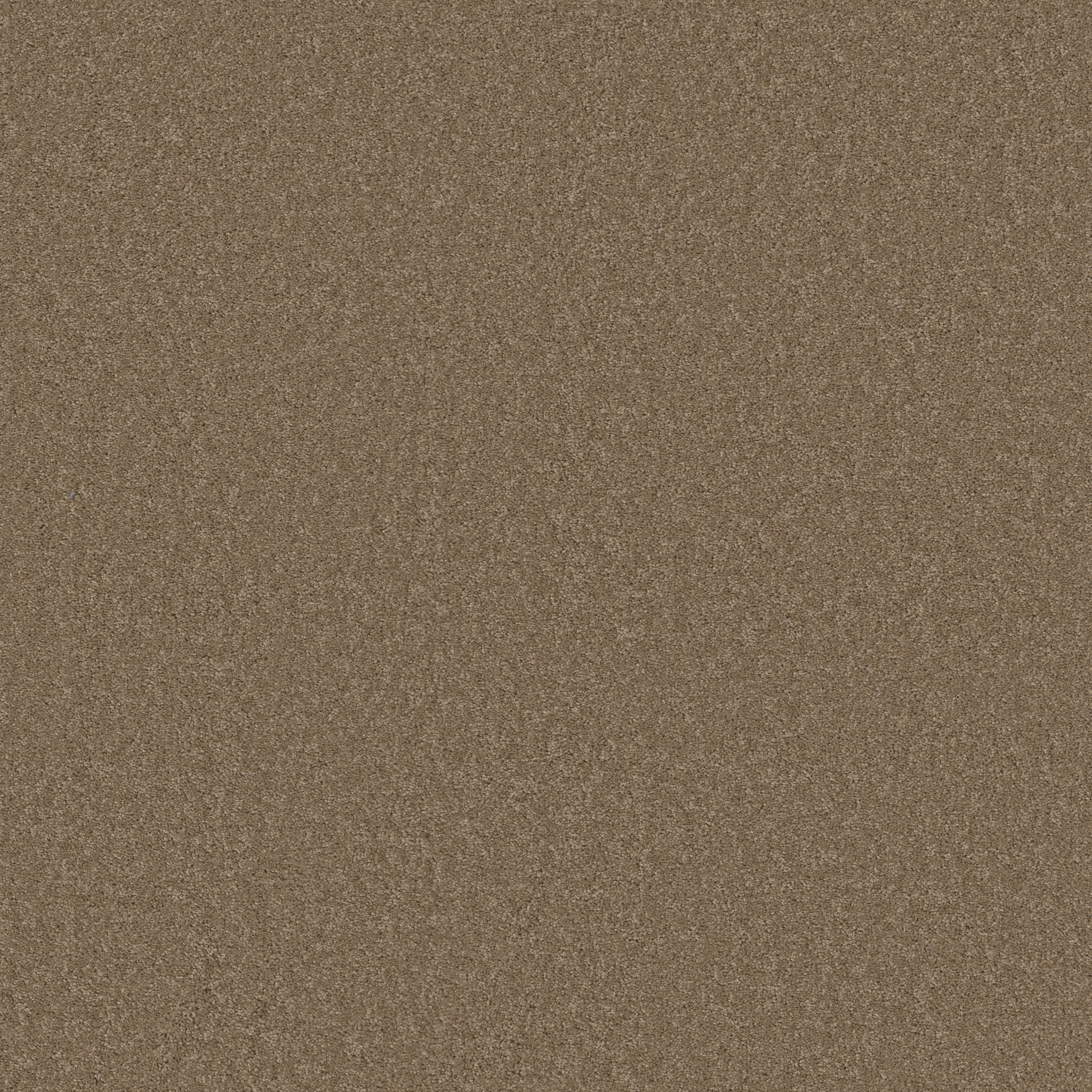 OPPORTUNITY KNOCKS BRIDGEWATER TAN MAIN