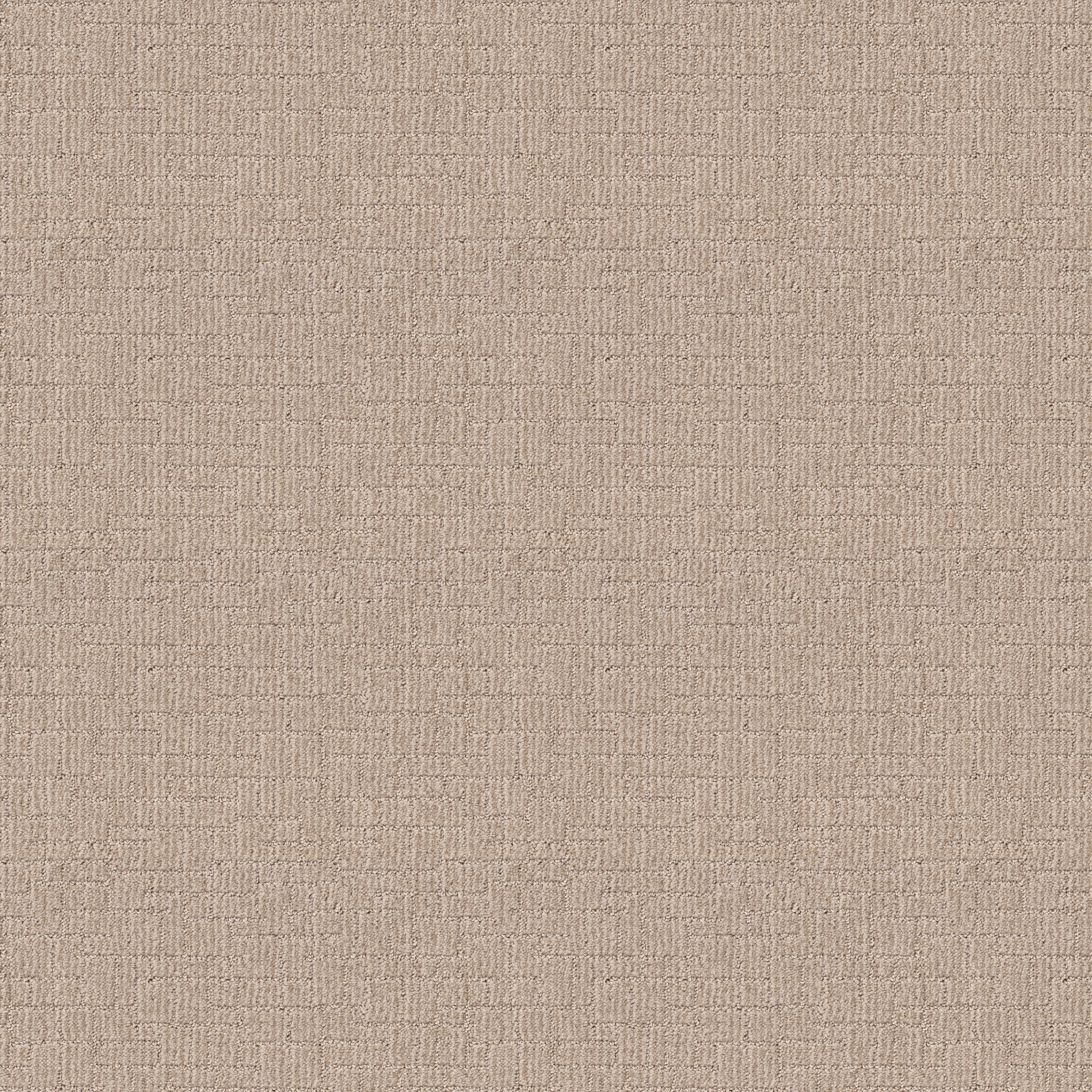 WAYFARER SUNLIGHT MAIN