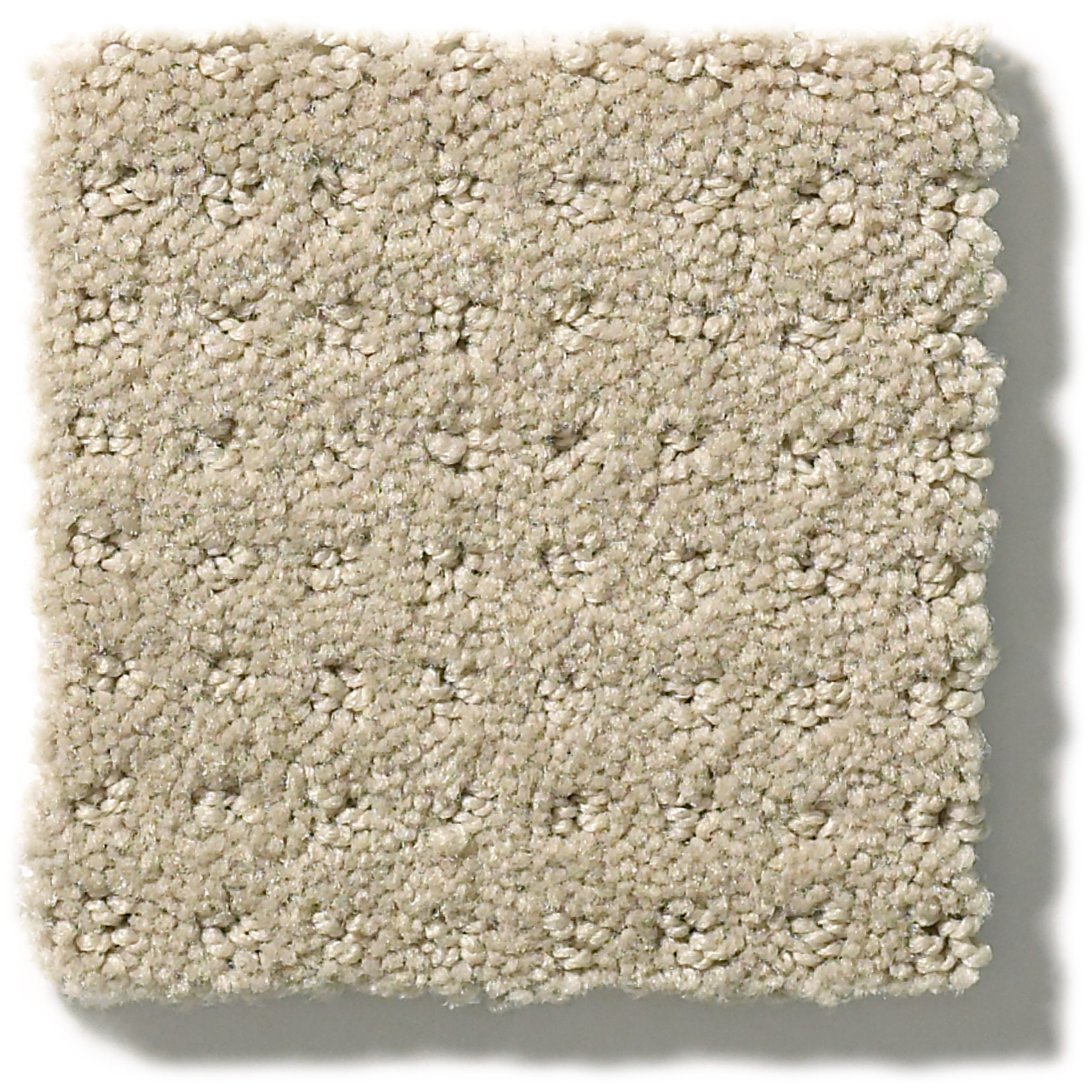 MY CHOICE PATTERN TEXTURED CANVAS SWATCH