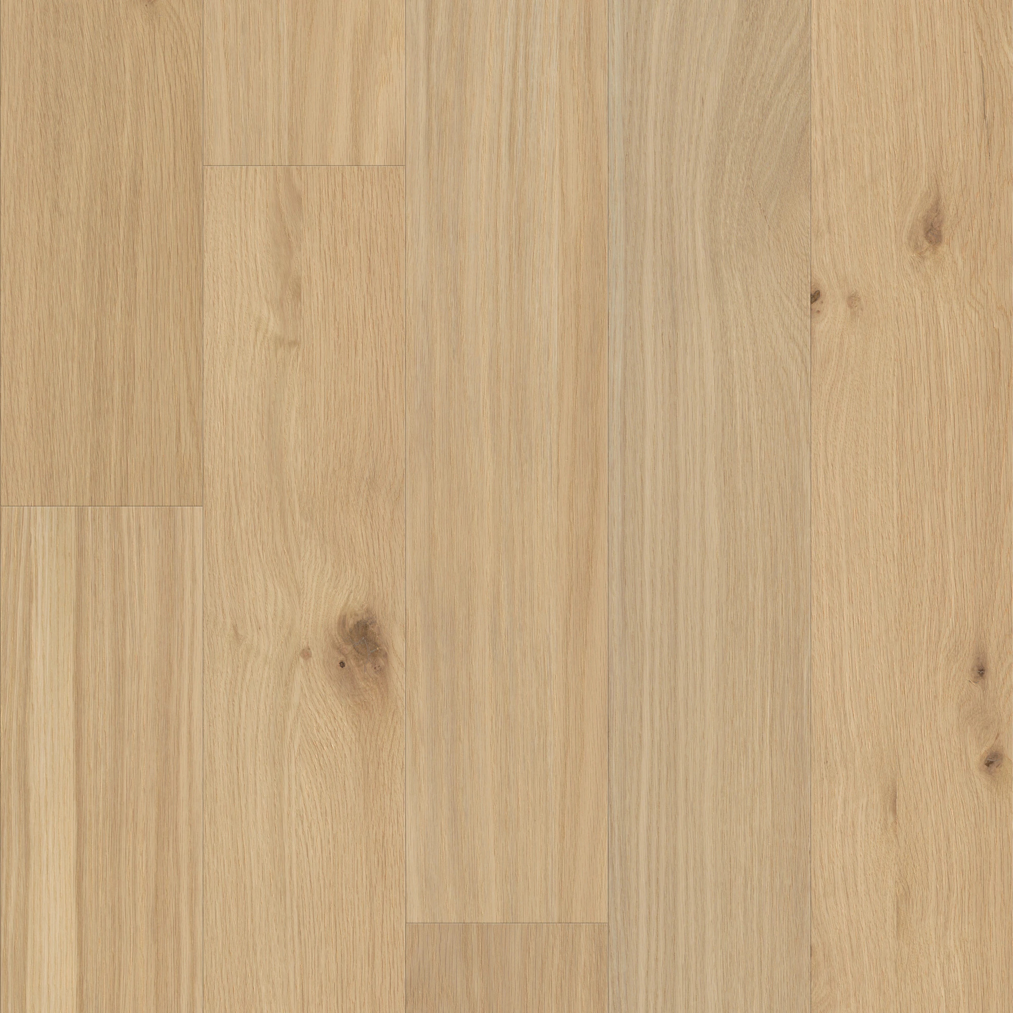 LIBERTY OAK ECLECTIC MAIN