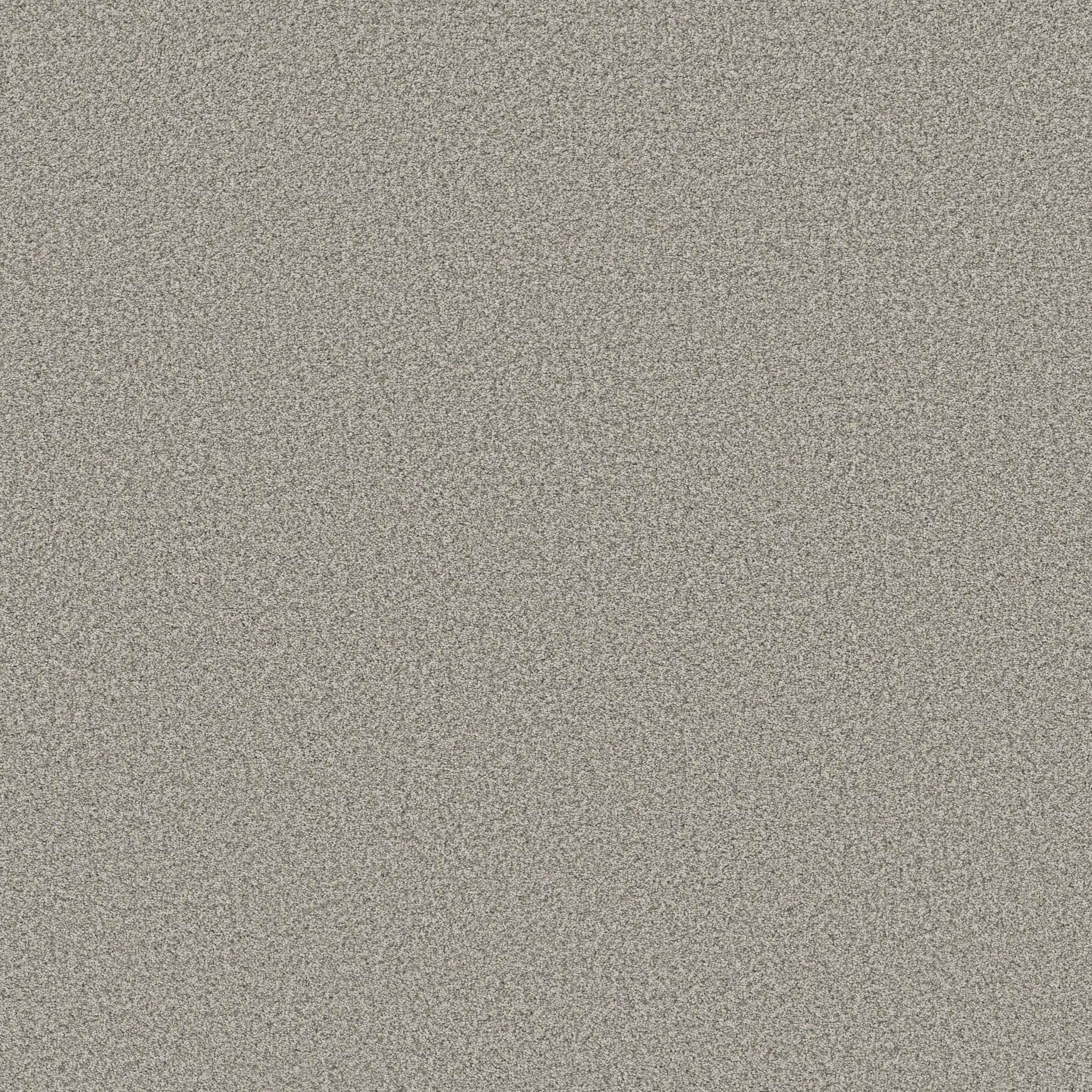 AVALON BAY MOTH GRAY MAIN