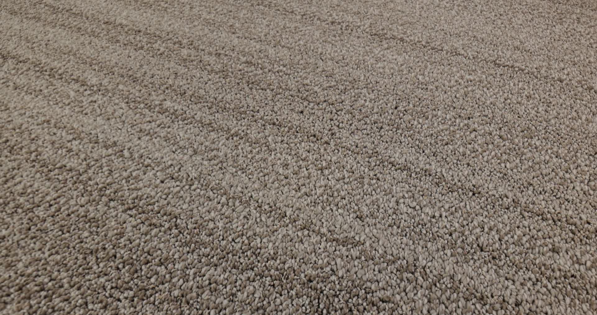 IN TEMPO DRIFTWOOD 360PROD