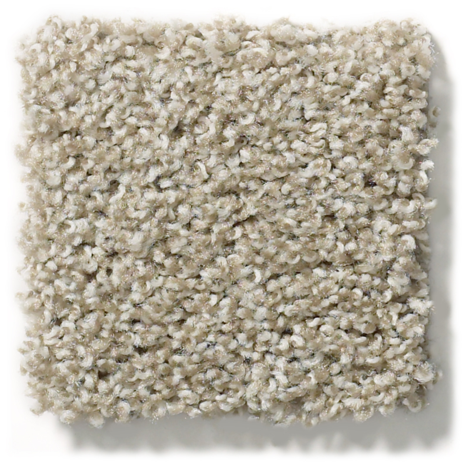 POISED QUIET TAN SWATCH