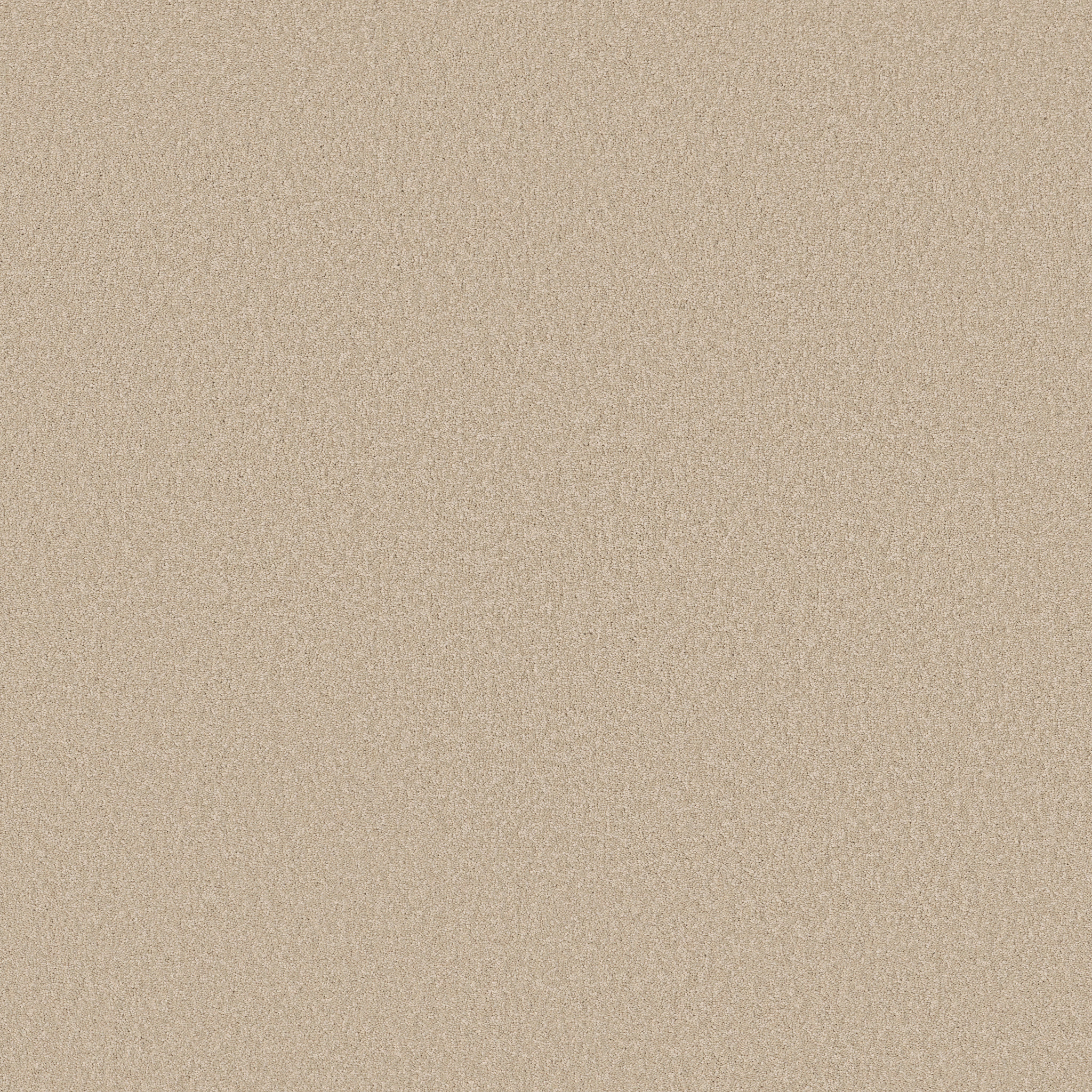 MAGIC AT LAST I 12&#x27; SEA SALT MAIN