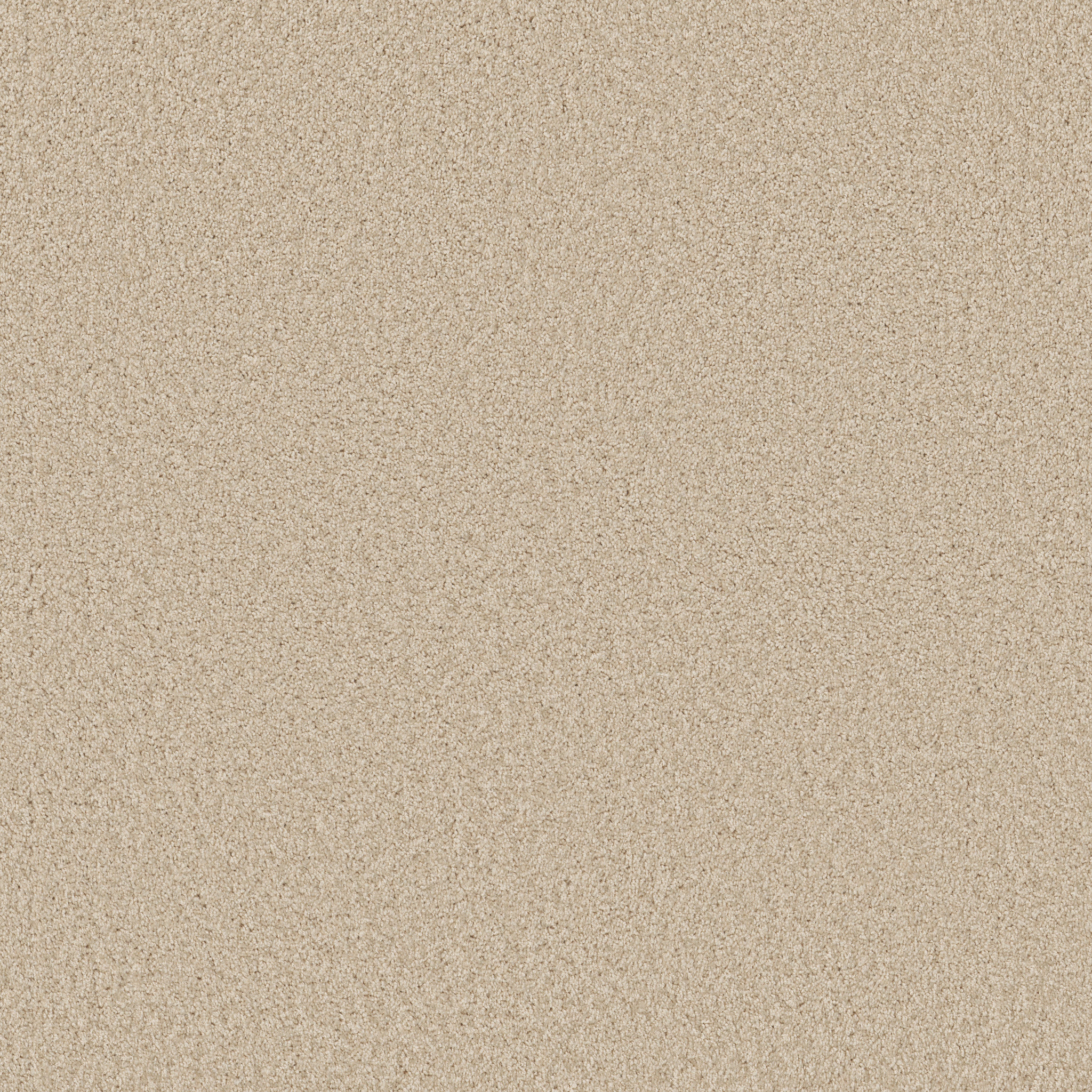 DAKOTA SPRINGS SAND DOLLAR MAIN