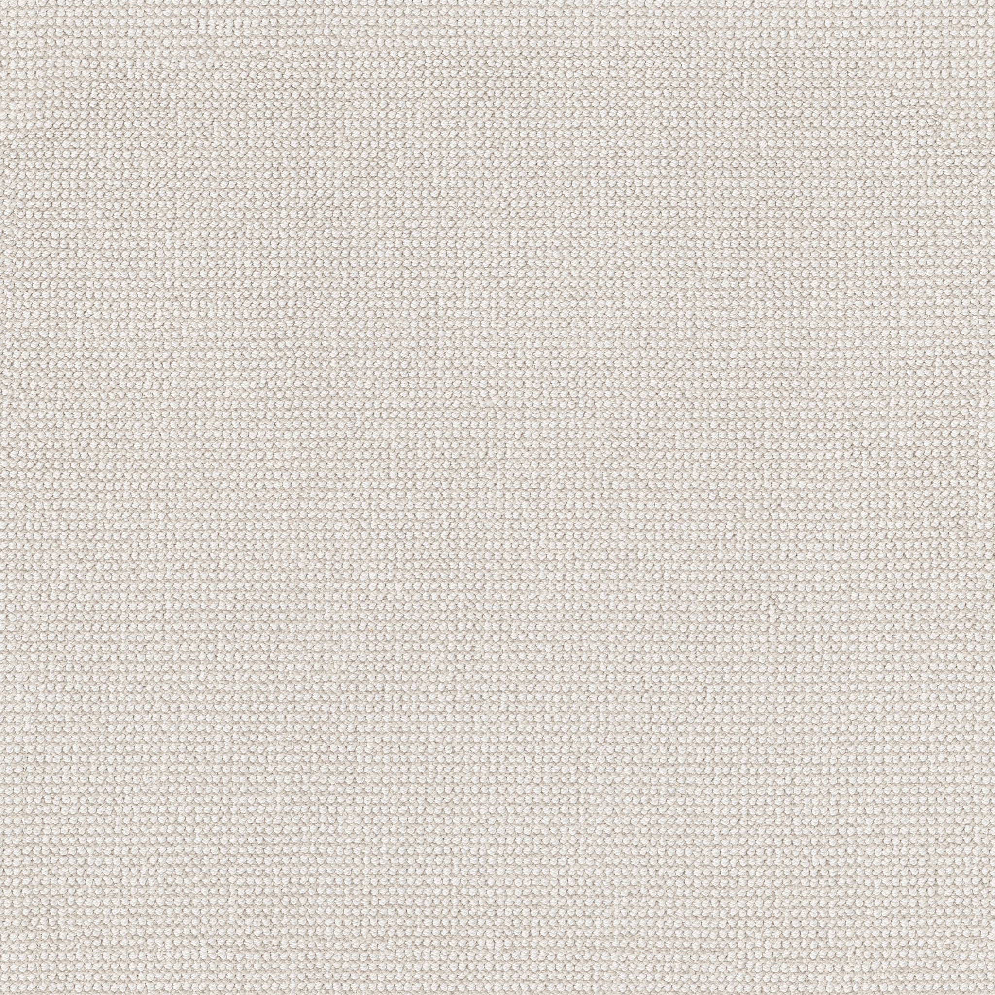 ALLURING COTTON MAIN