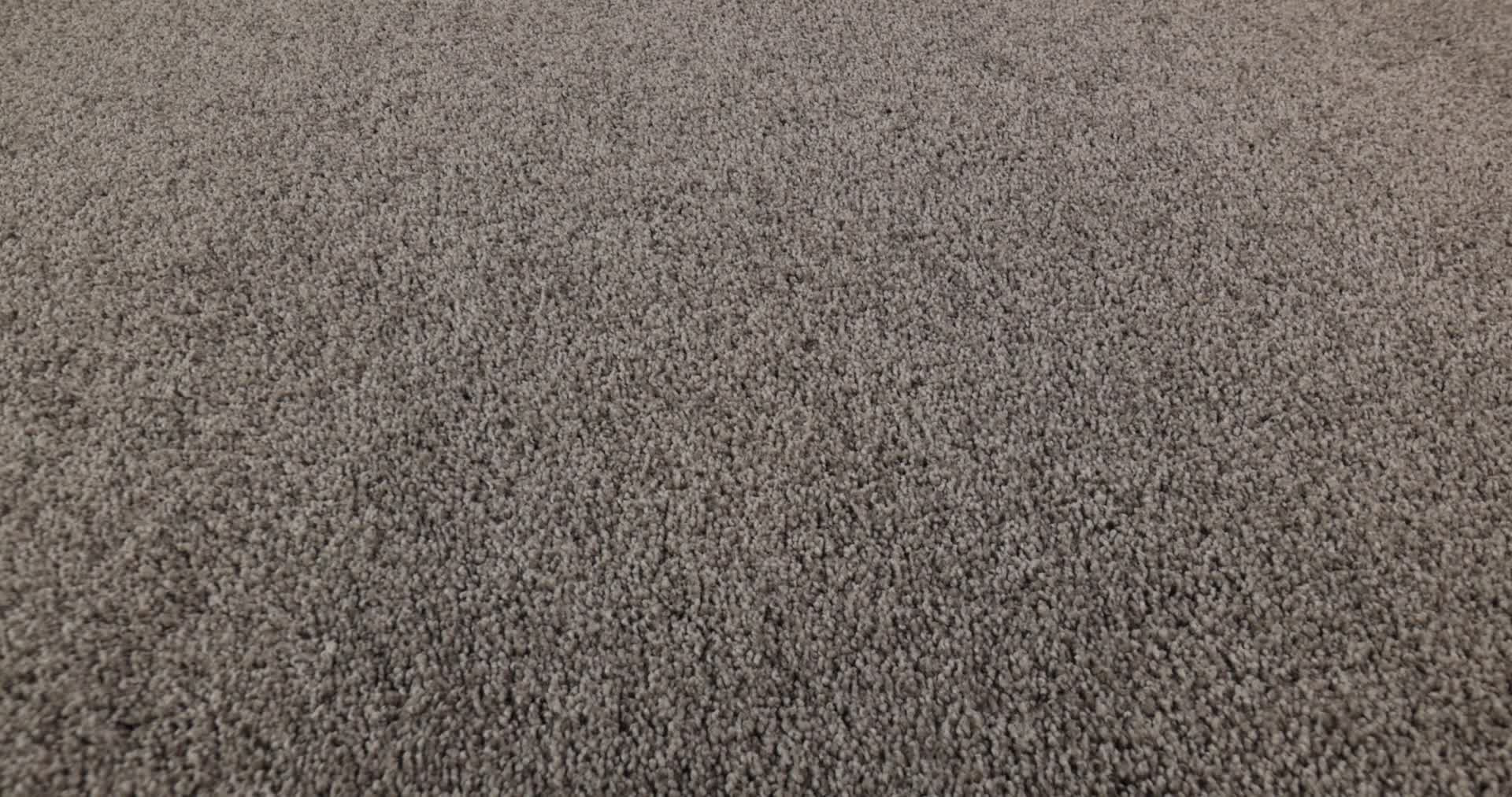 COZY HARBOR I RIDGEVIEW 360PROD