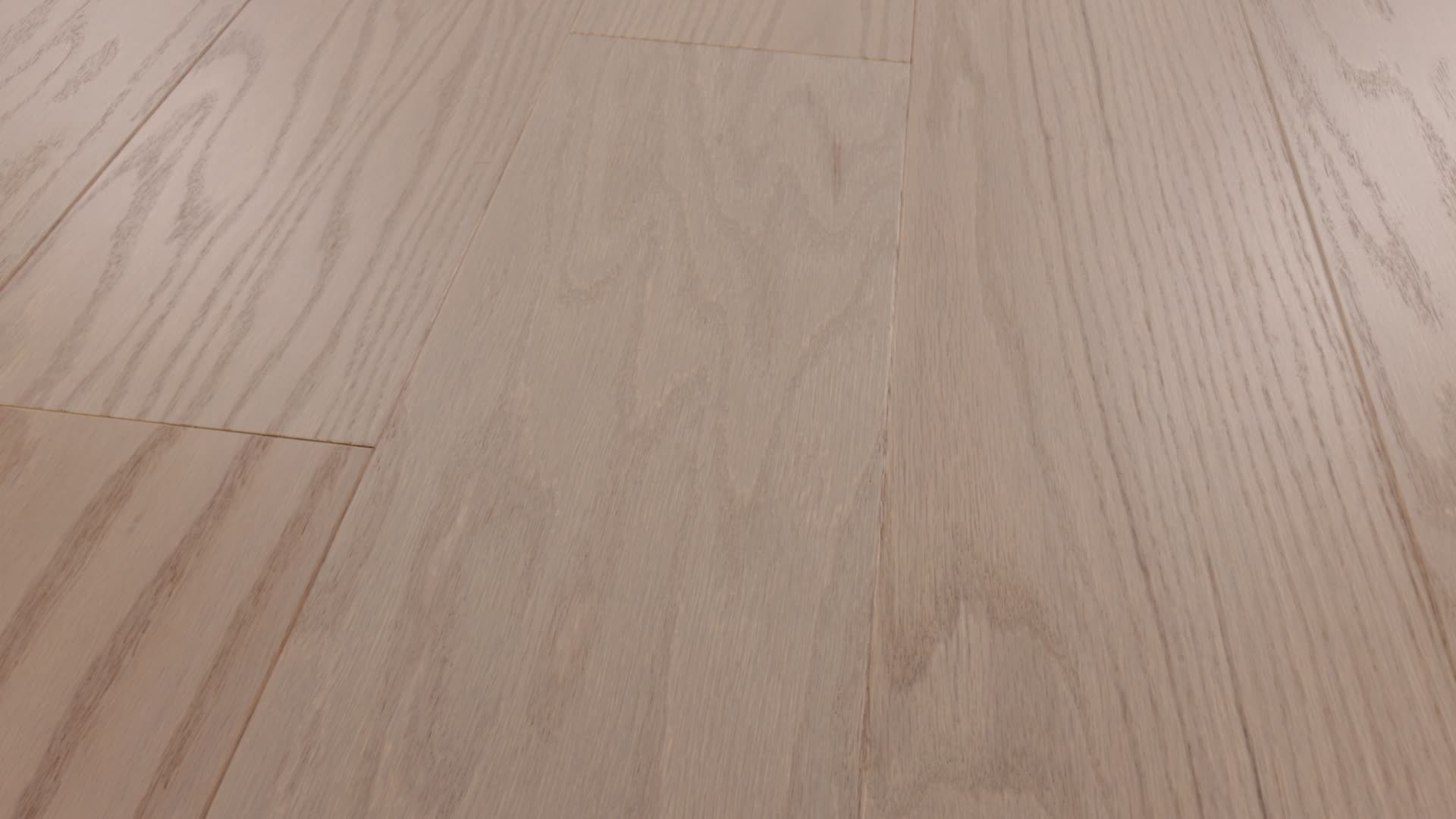 SANCTUARY OAK HAVEN 360PROD