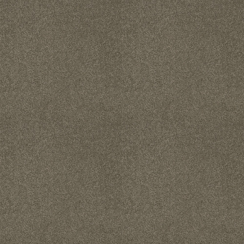 Grey Flannel 00501