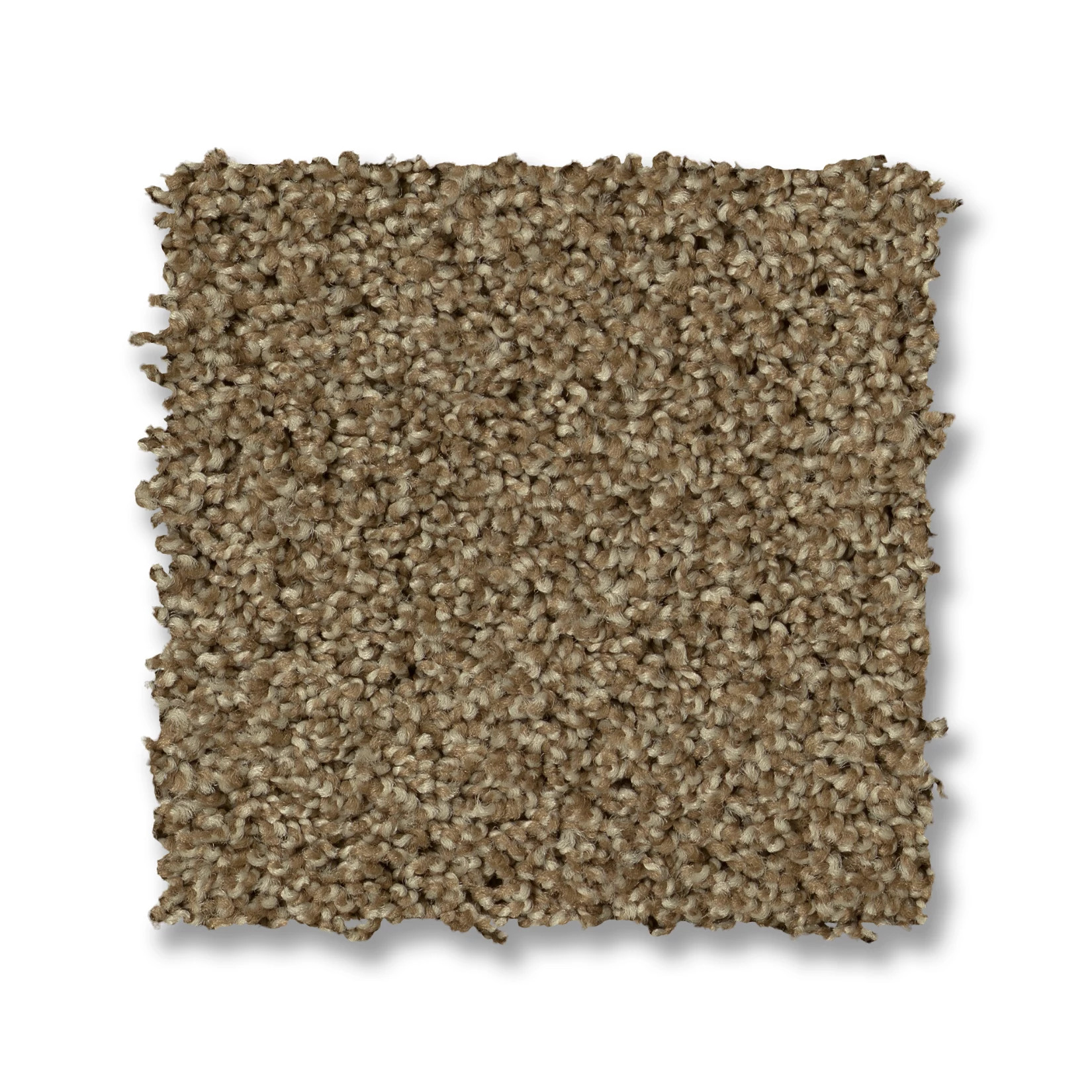 PARK HAVEN LODGE SWATCH