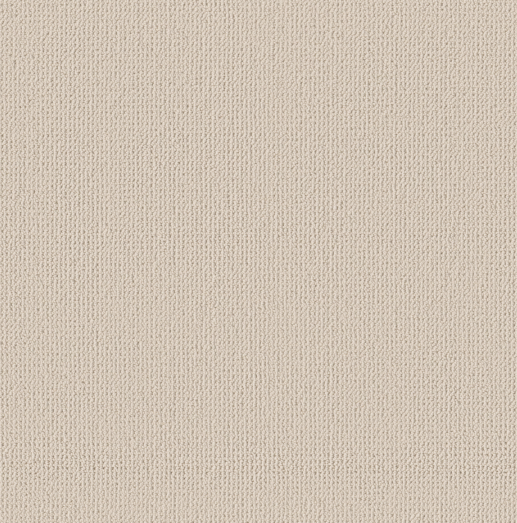 PURRFECTION OLYMPIC MAIN