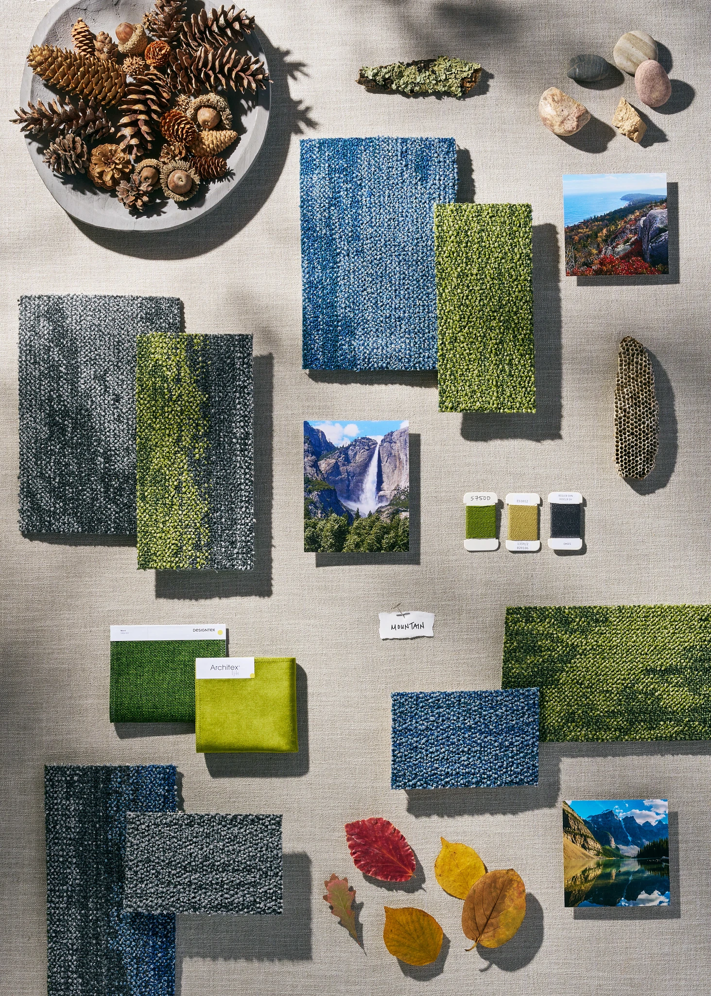 Swatch collection featuring various shades of green and blue commercial carpet tiles with natural elements like pinecones and leaves