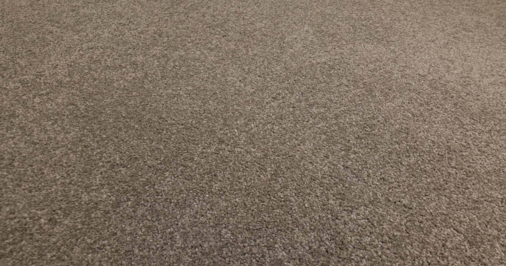 SHINGLE CREEK IV 12' CASTLE ROCK 360PROD