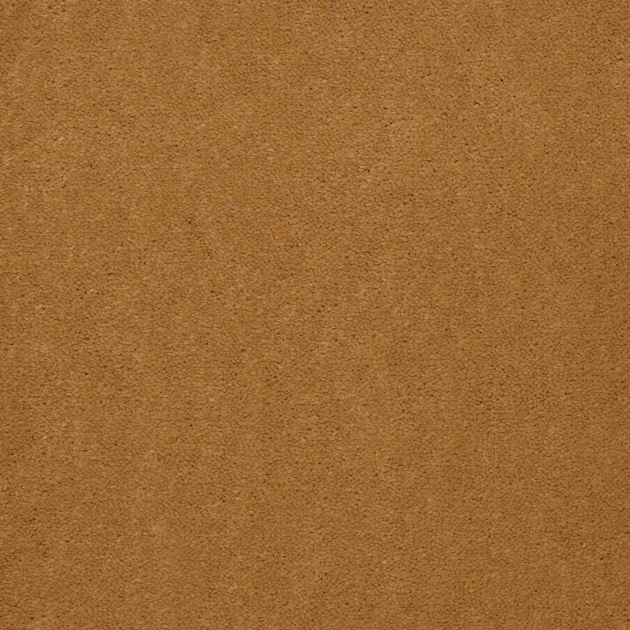 EMPHATIC-II-30-54255-GOLD-COAST-56240-main-image